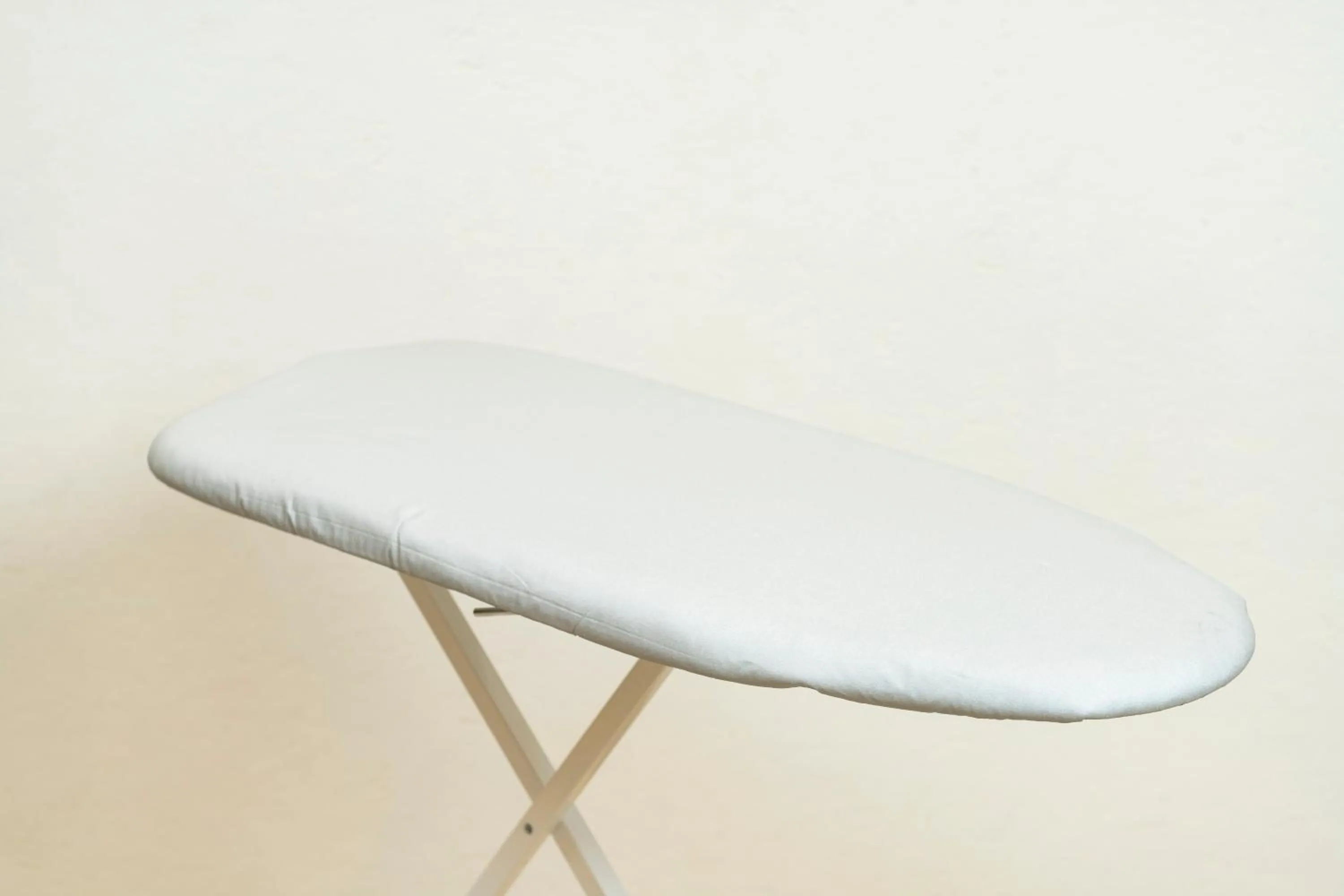 flat iron in Hotel Torifito Miyakojima Resort