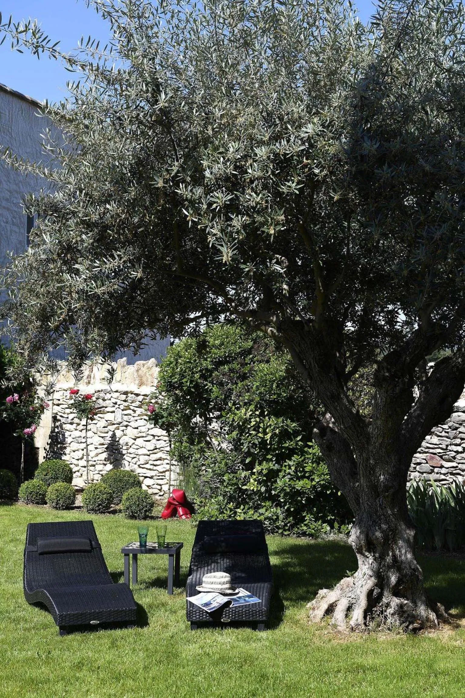 Garden in Bastide des Demoiselles