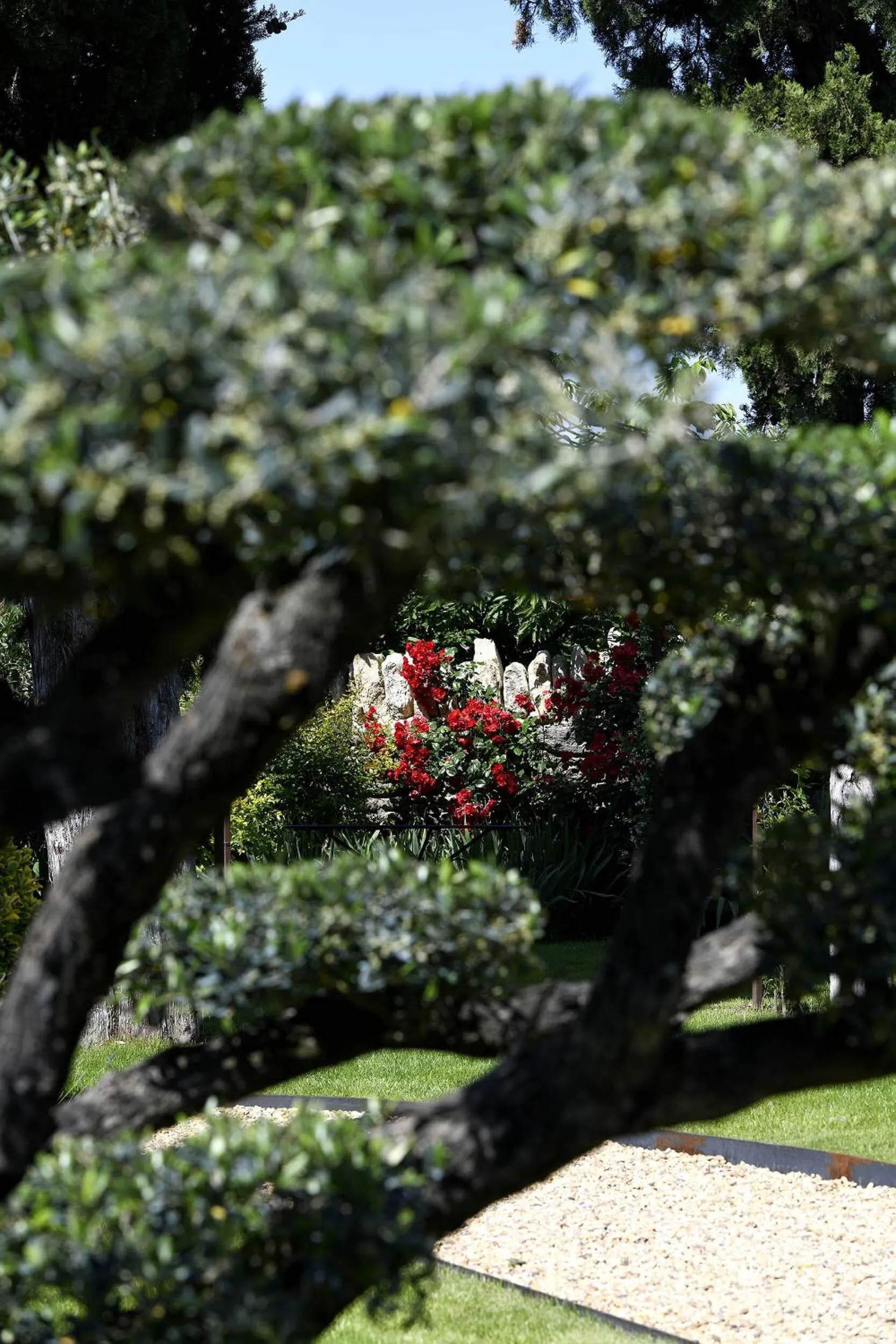 Garden in Bastide des Demoiselles