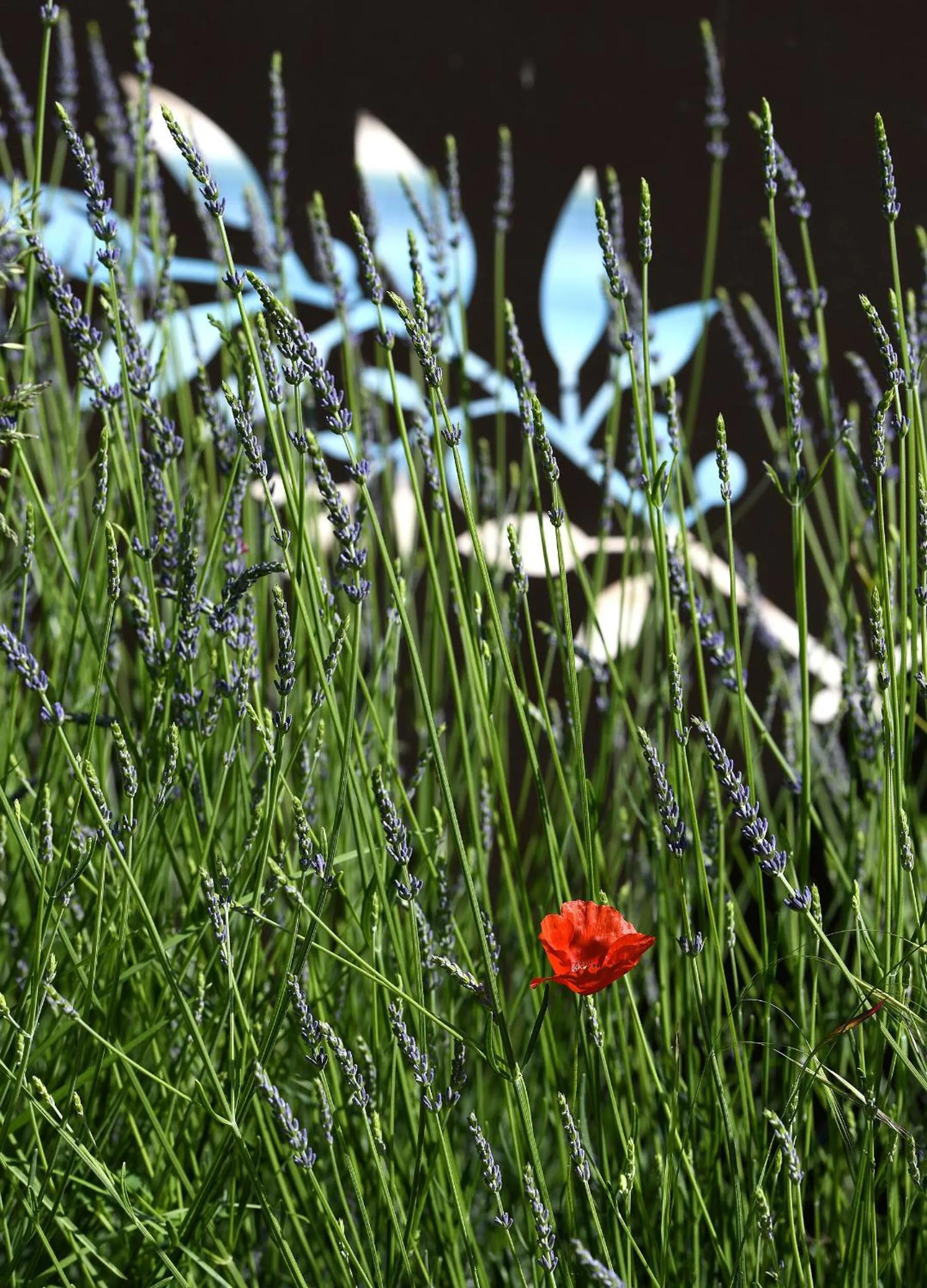 Other in Bastide des Demoiselles
