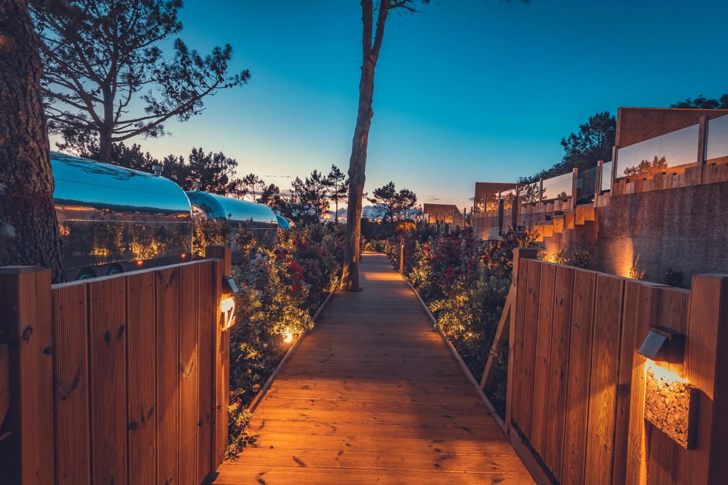 Garden in Charm Nature