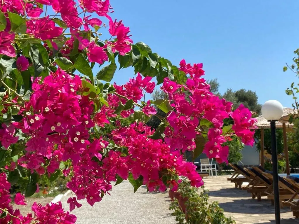 Anastasia Apartments