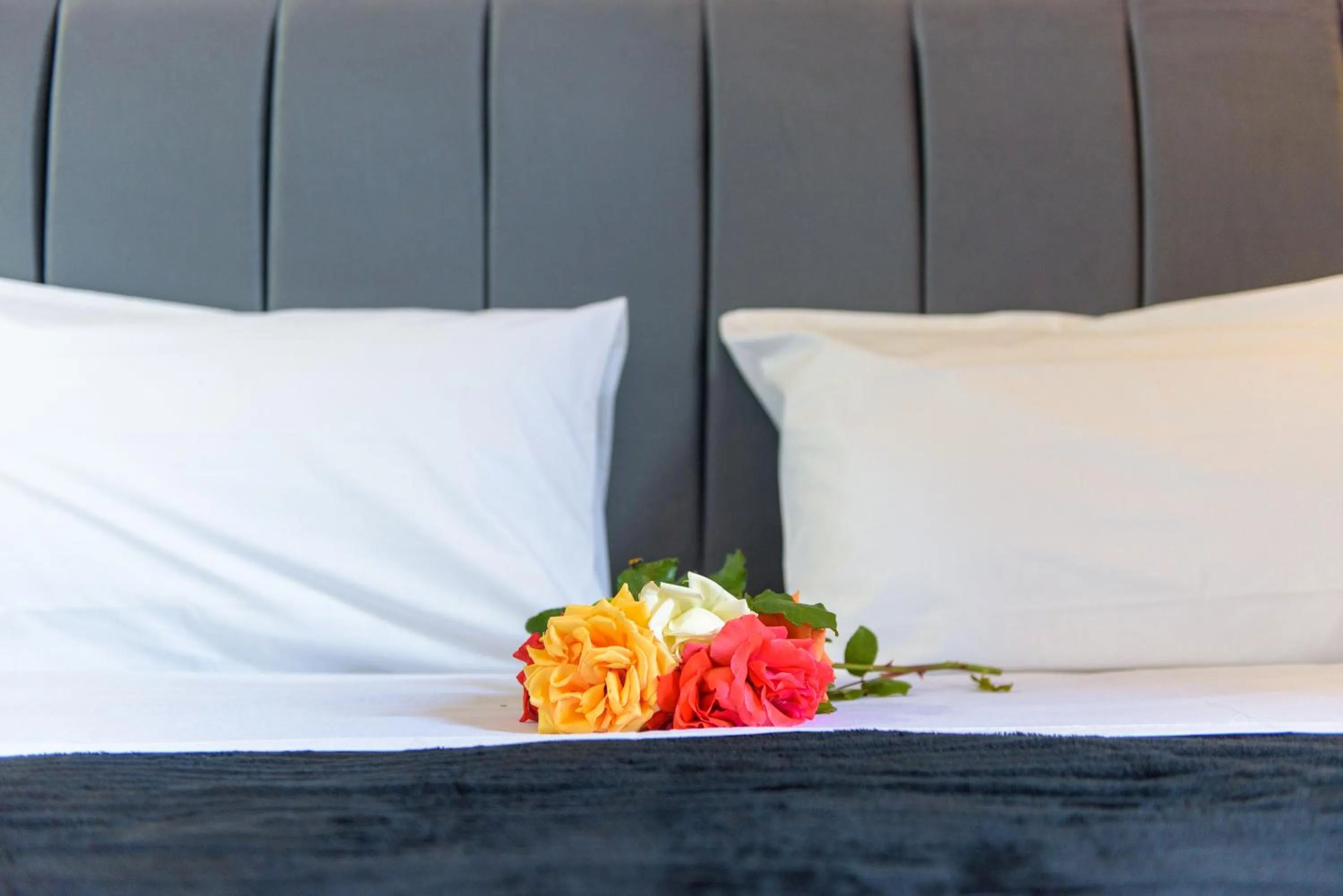 Bed in Anastasia Apartments