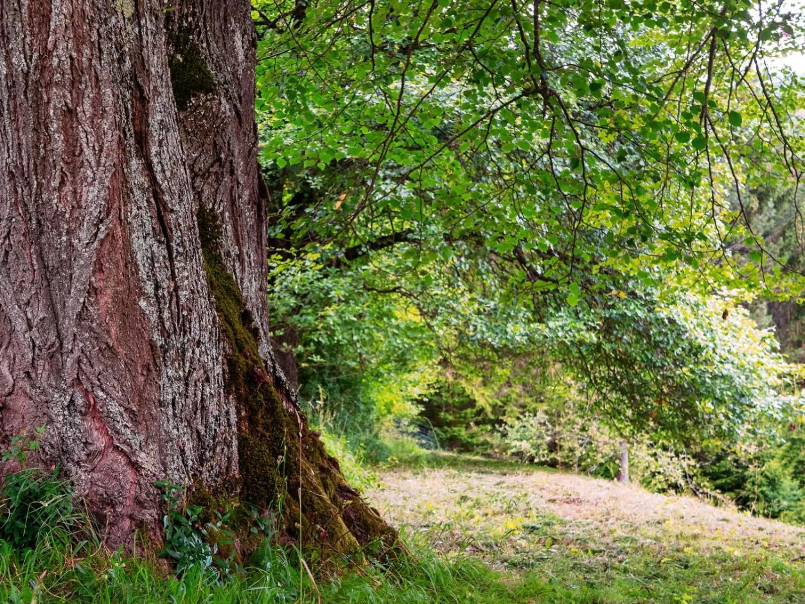 Garden in LANDSITZ OBERHOF petit hôtel