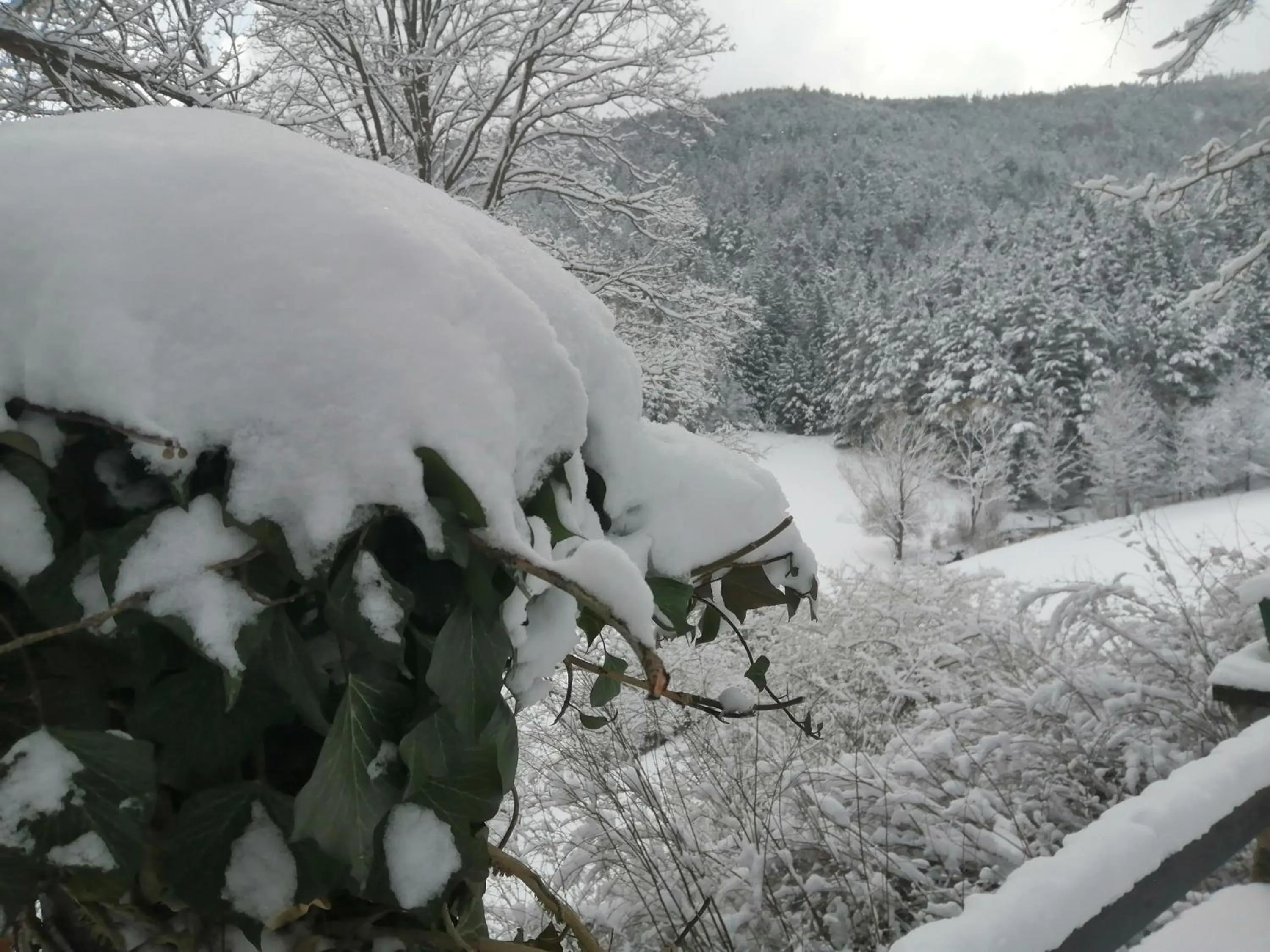 Winter in LANDSITZ OBERHOF petit hôtel