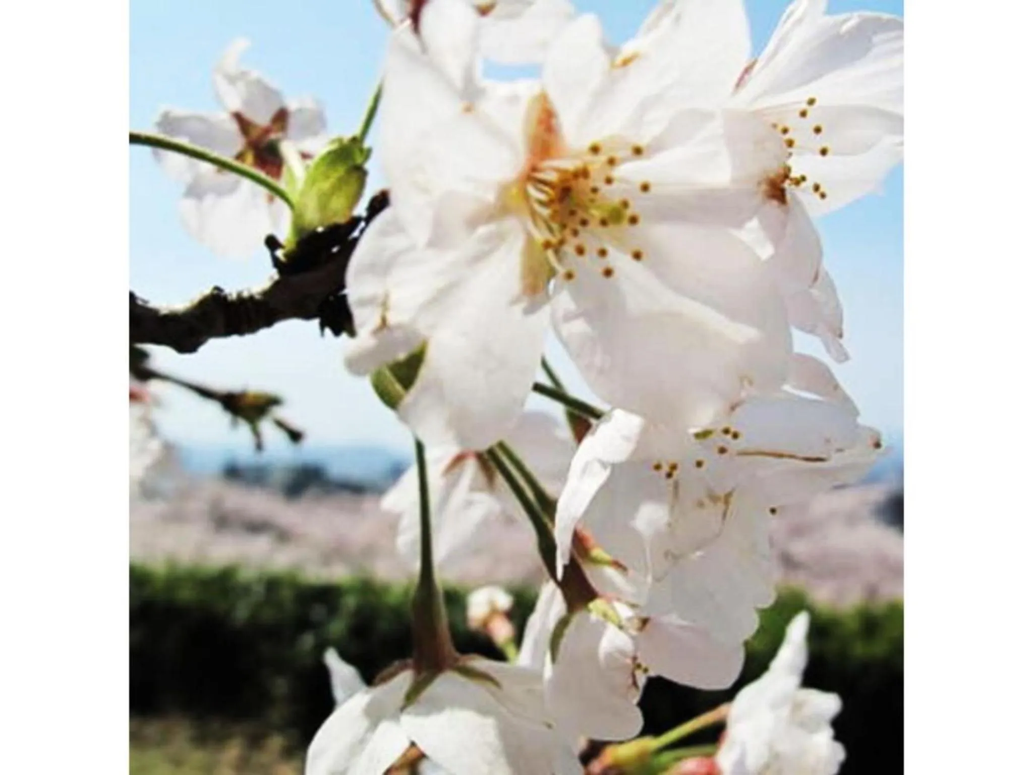 Tottori City Hotel / Vacation STAY 81357