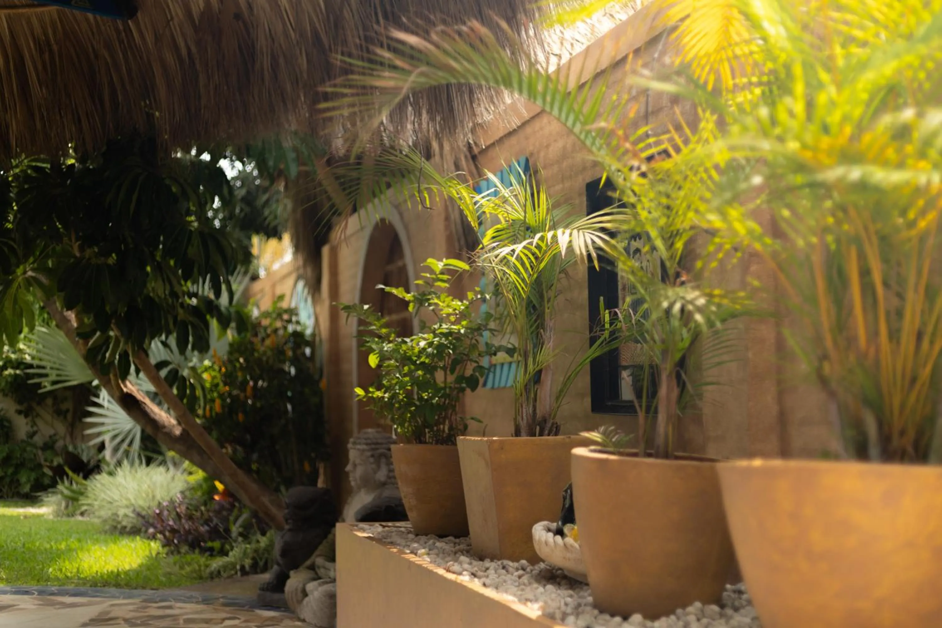 Day in Hotel Boutique Casa Copal