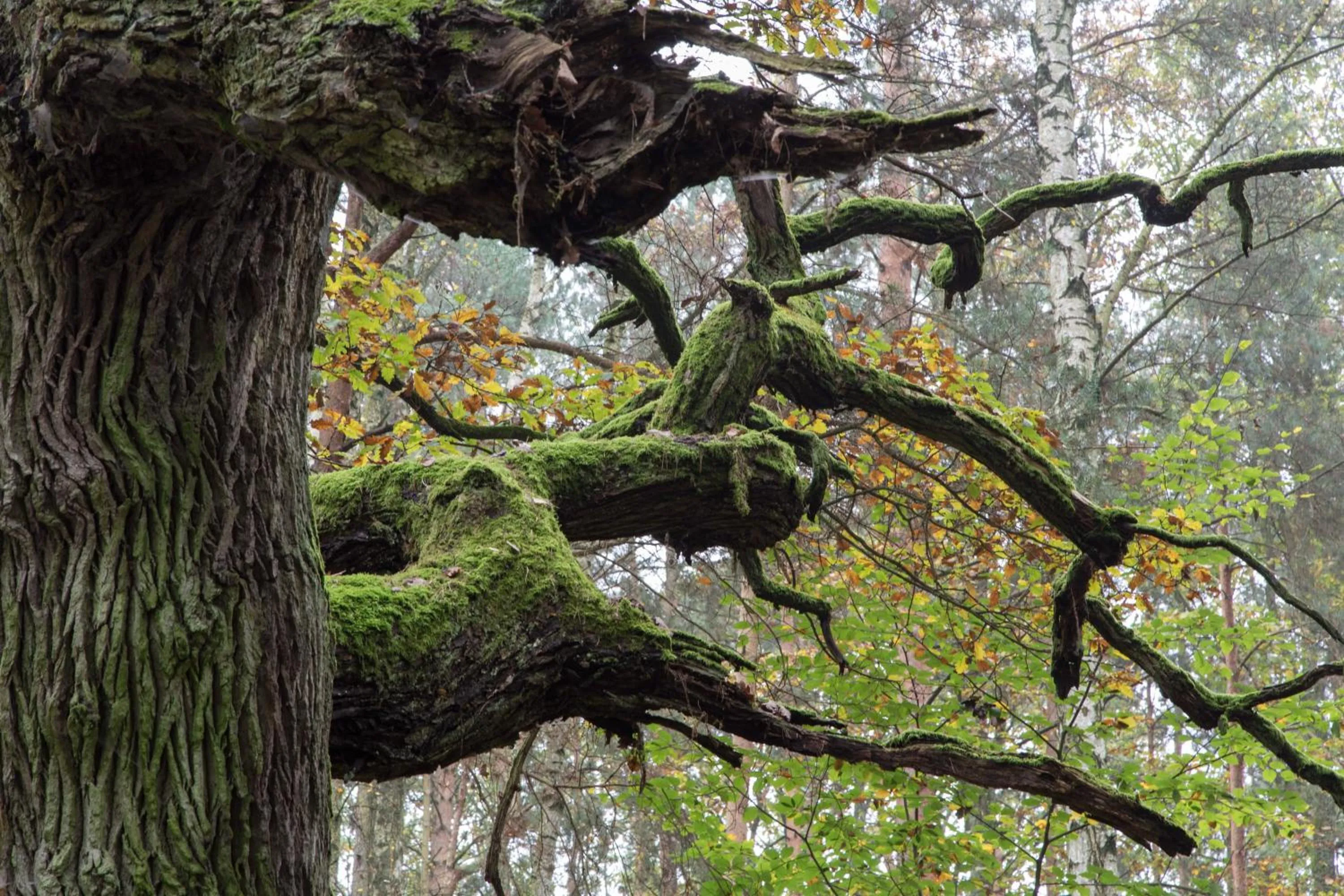 On site in Ringhotel Schorfheide, Tagungszentrum der Wirtschaft