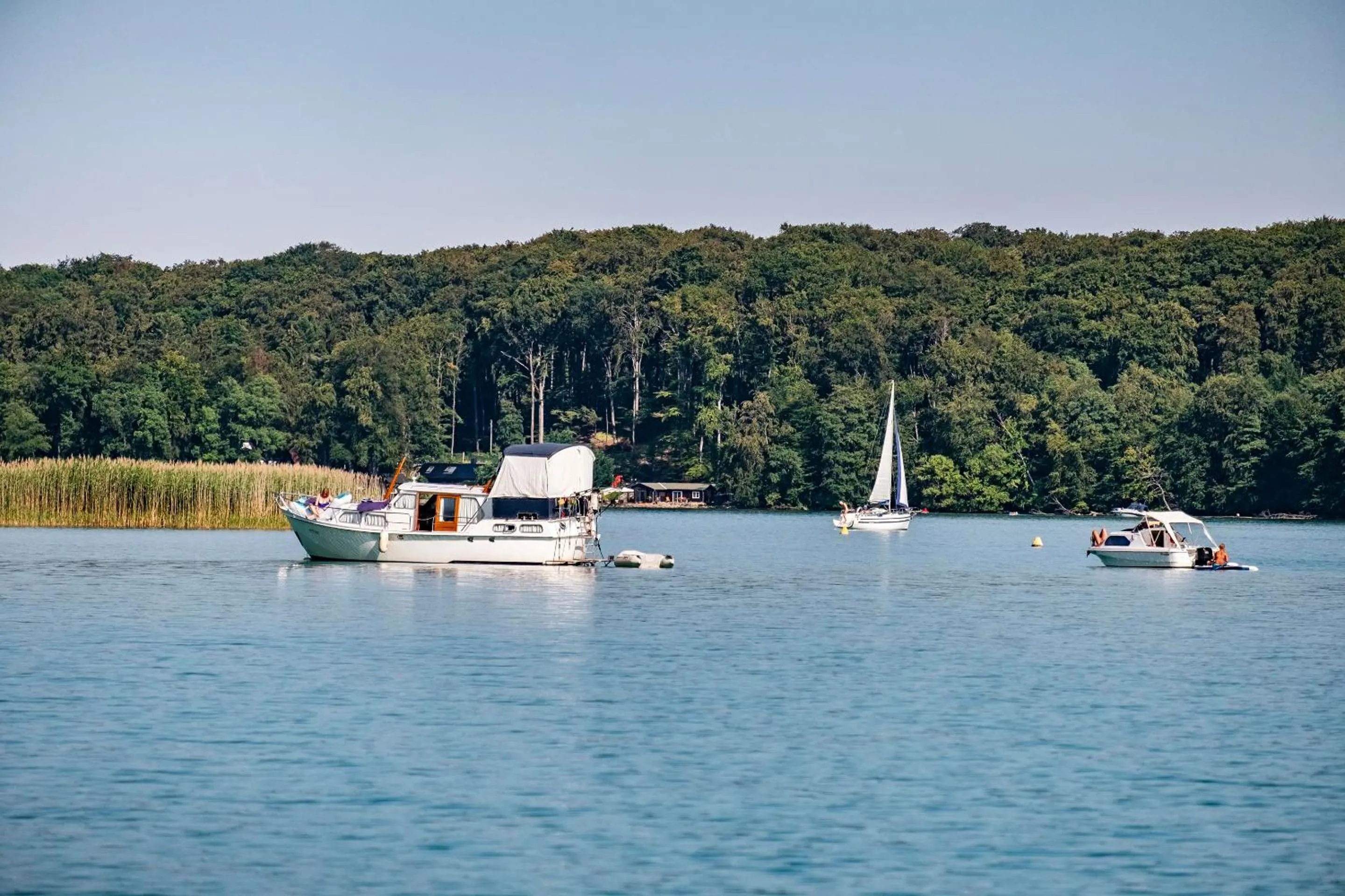 Area and facilities in Ringhotel Schorfheide I Waldresort Werbellinsee