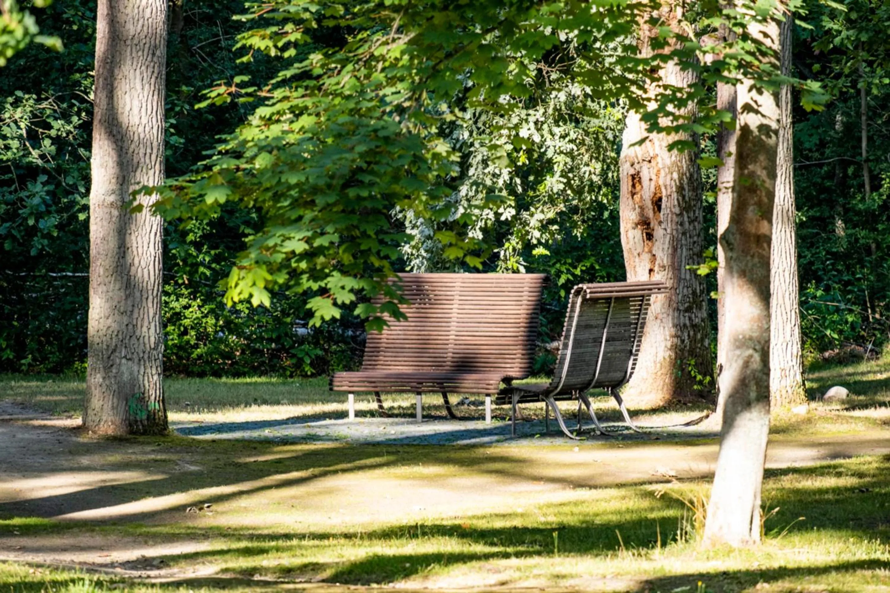 Area and facilities in Ringhotel Schorfheide I Waldresort Werbellinsee