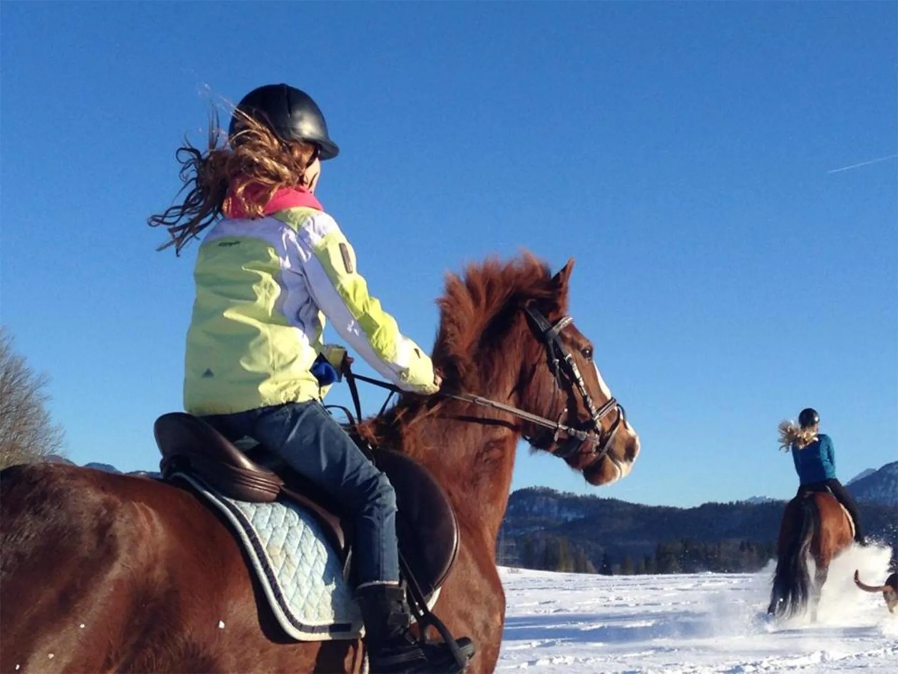 Horse-riding in Appartement-Hotel Seespitz
