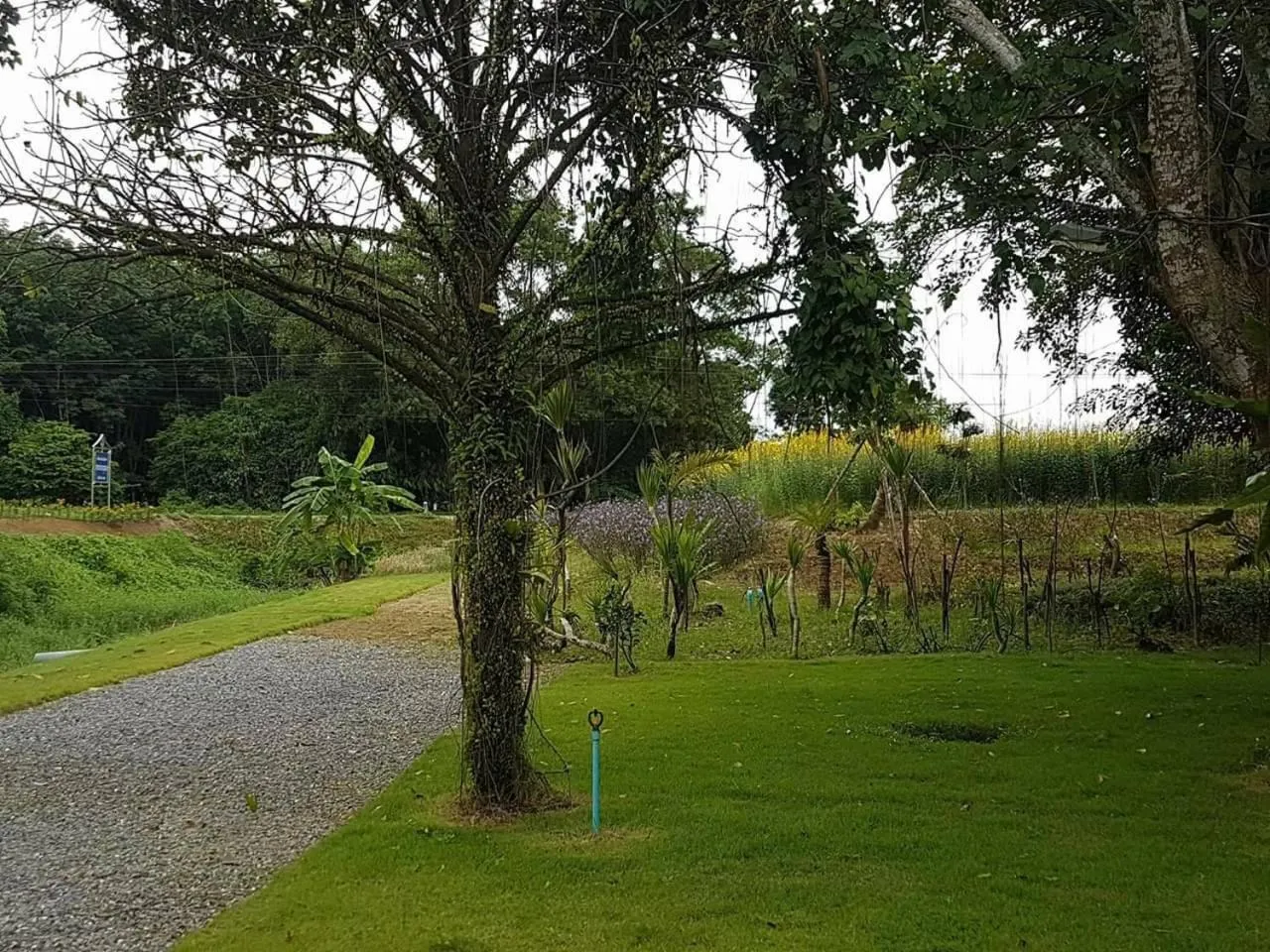 Garden in Tho Mai Resort