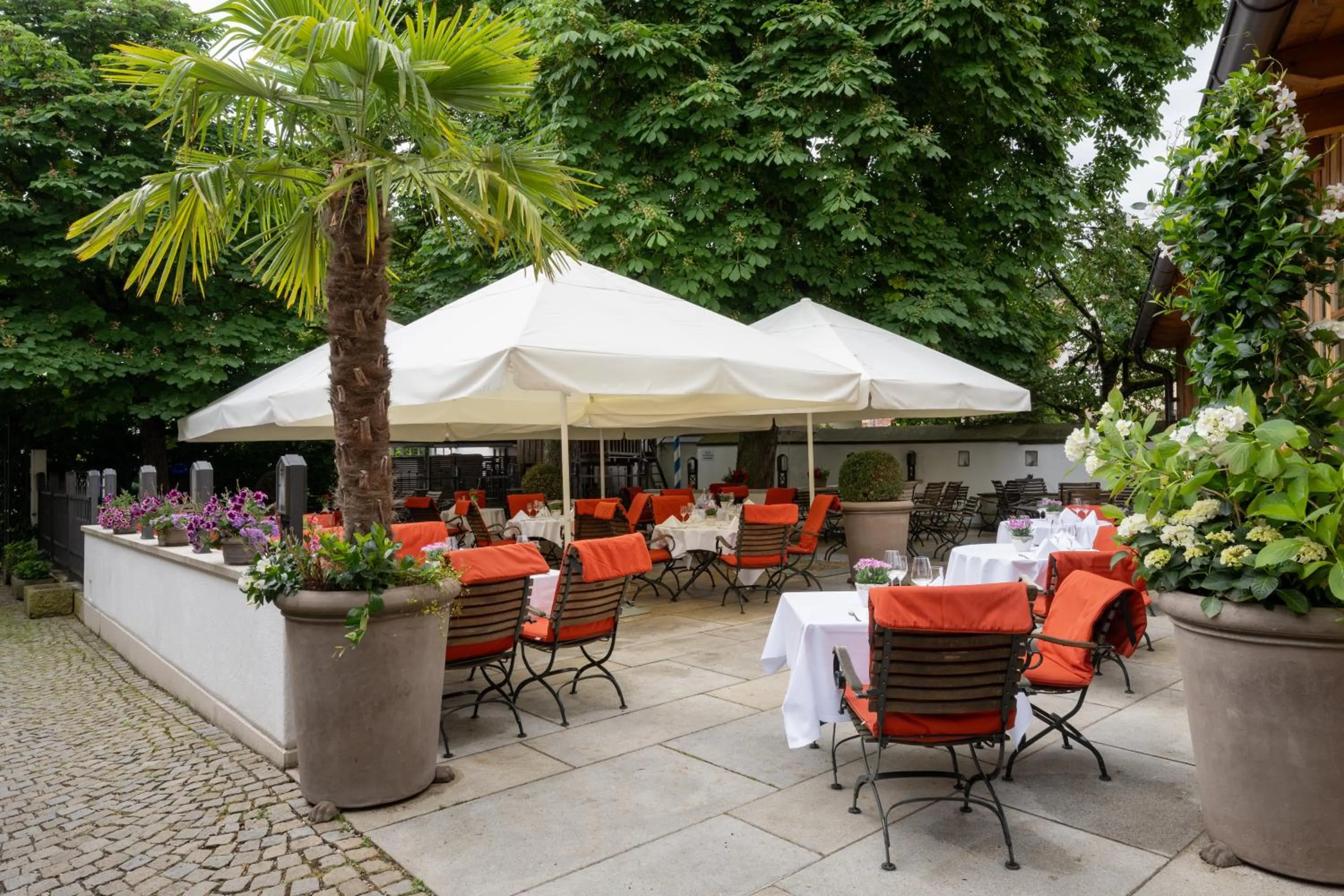 Restaurant/places to eat in Hotel Goldene Sonne