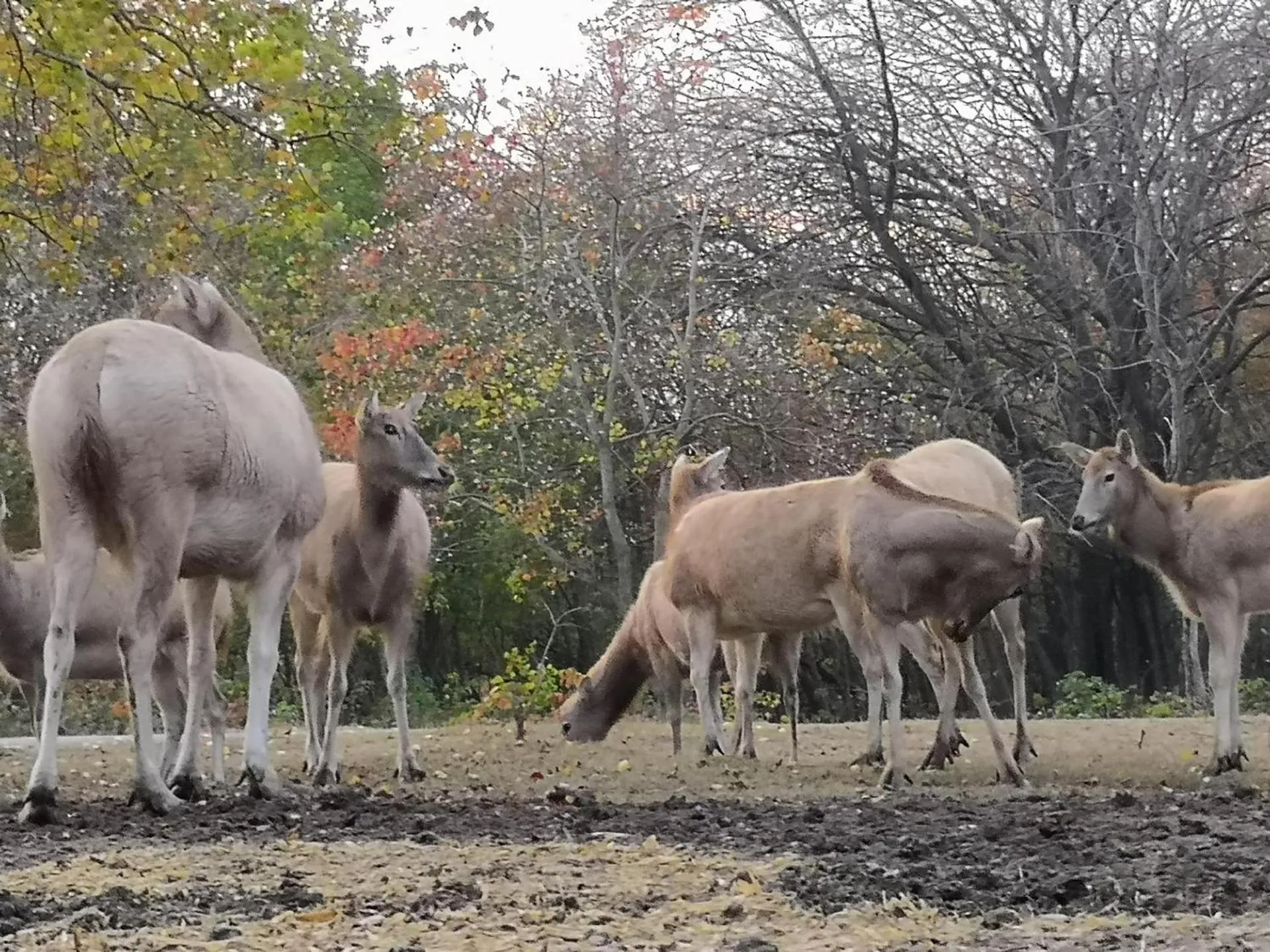 7Days Premium Yancheng Dafeng Zhongjiao Meilucheng Branch