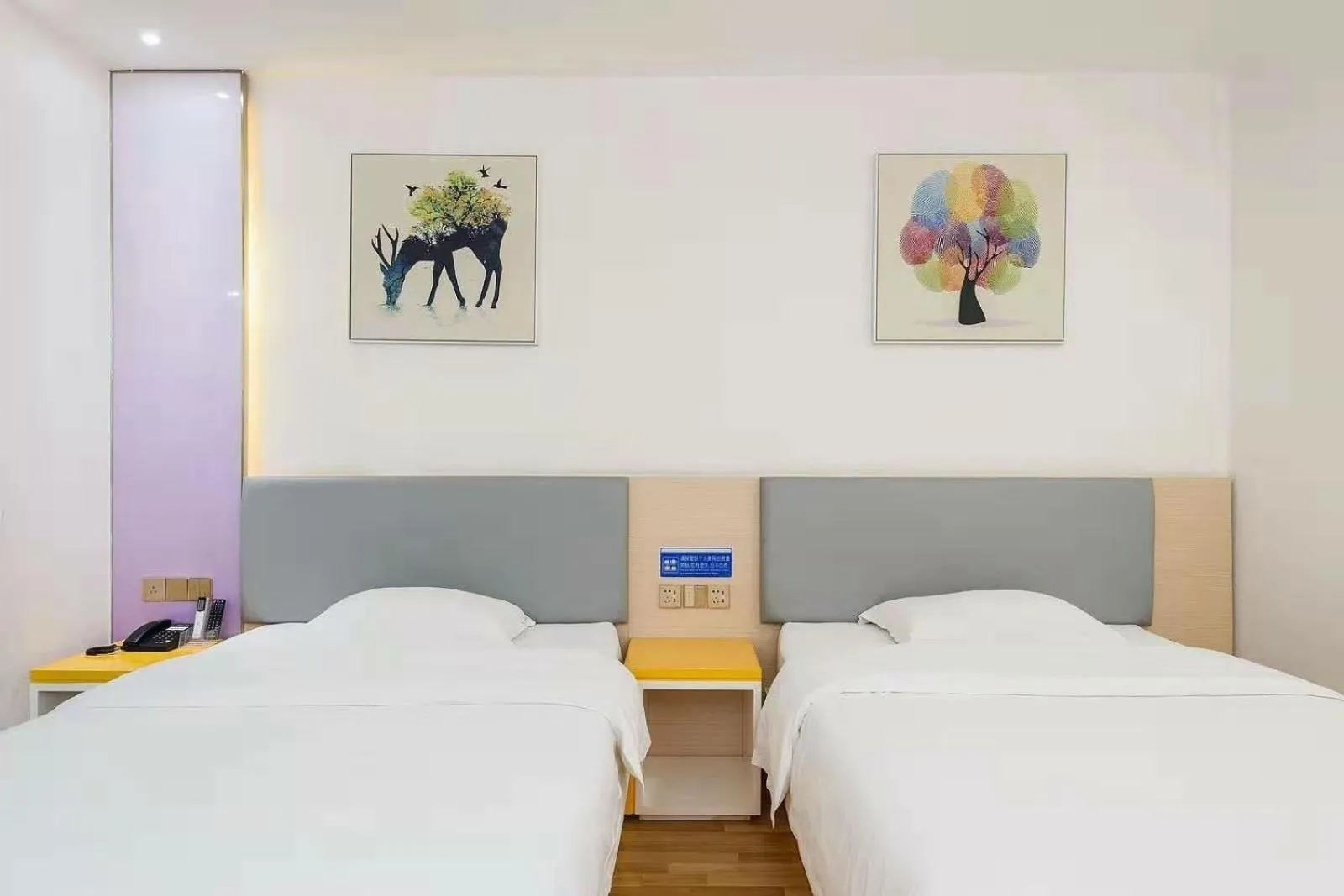 Bed in 7 Days Hotel Suining Daying China Dead Sea Senic Area Branch