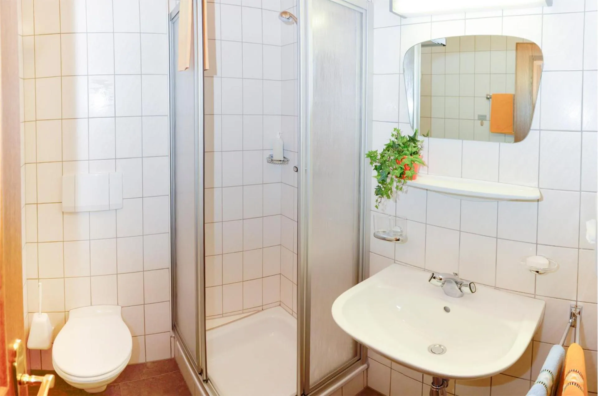 Shower in Hotel Garni Belvedere