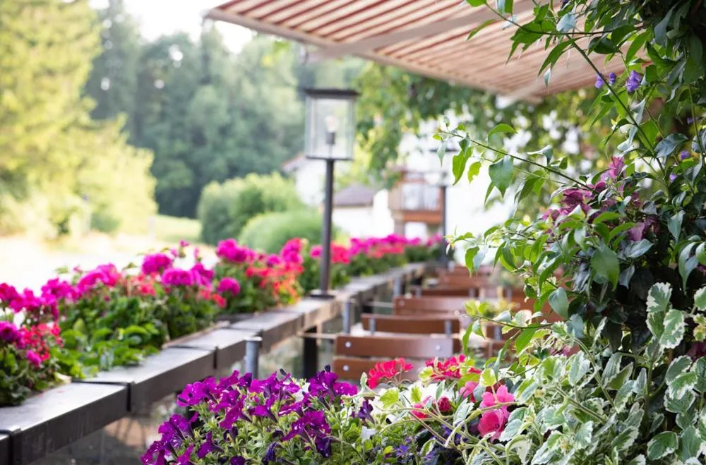 Restaurant/places to eat in Hotel-Gasthof Huber