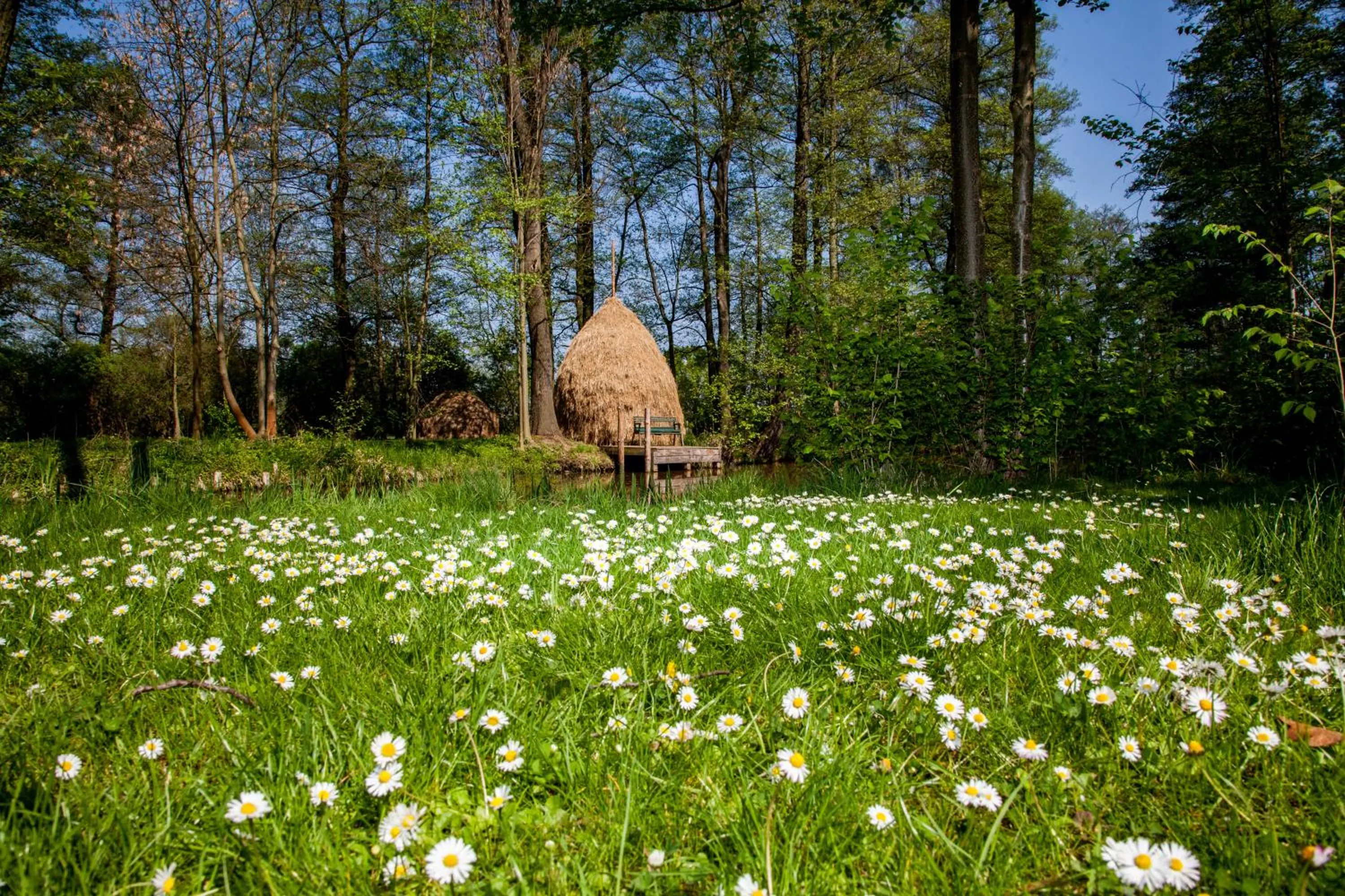 Garden in Hotel Zum Stern Spreewald