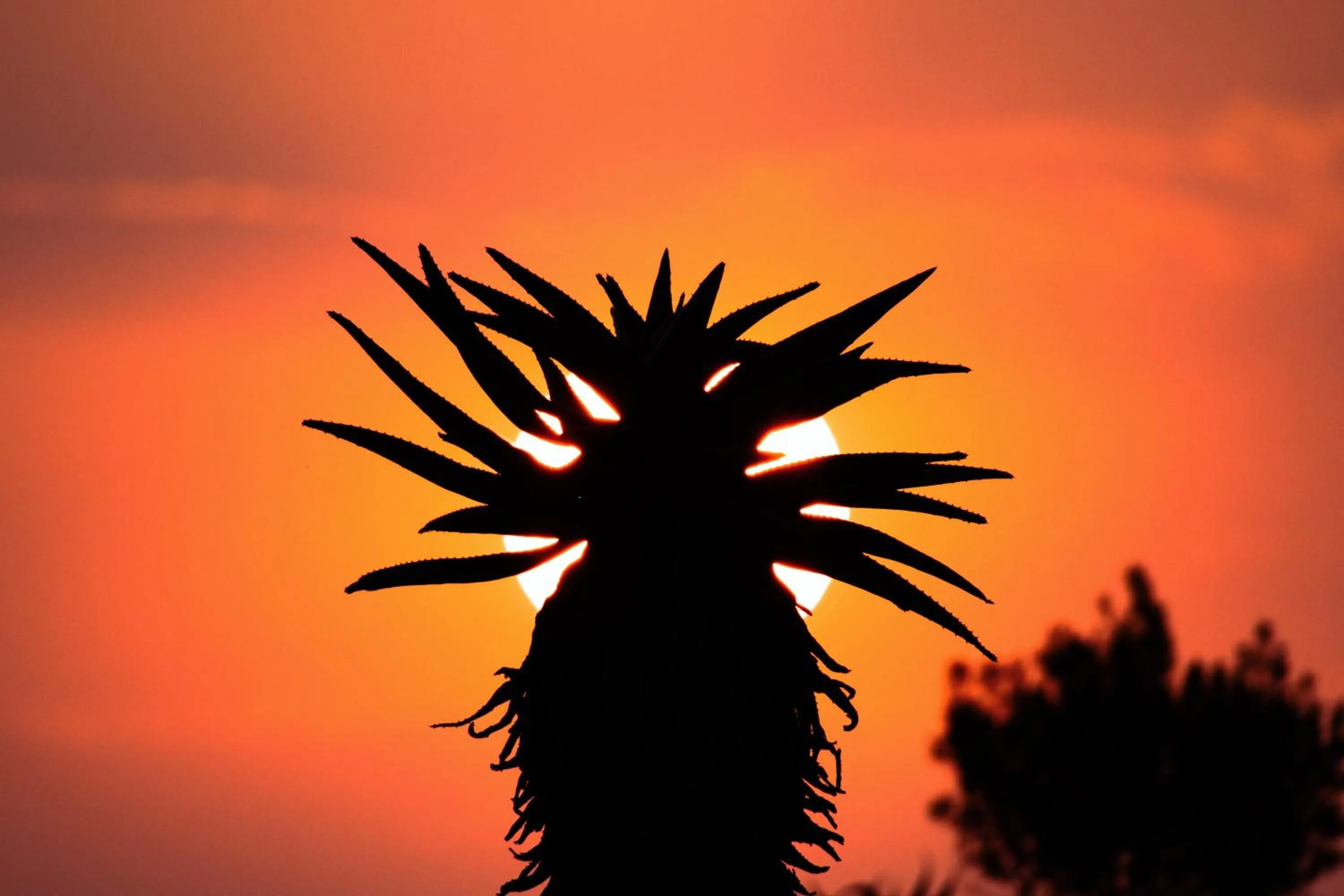 Natural landscape in Zulu Rock Lodge - Babanango Game Reserve