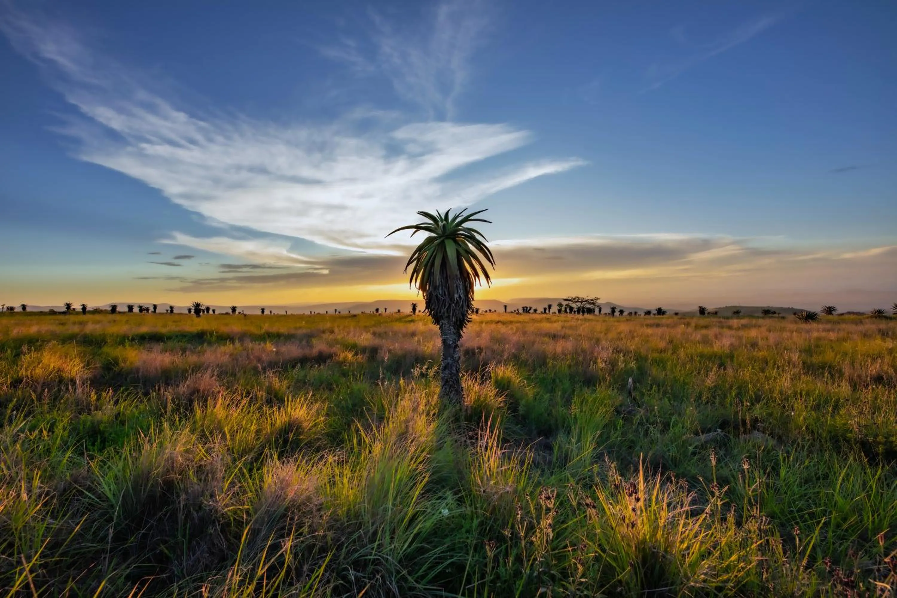 Natural landscape in Zulu Rock Lodge - Babanango Game Reserve