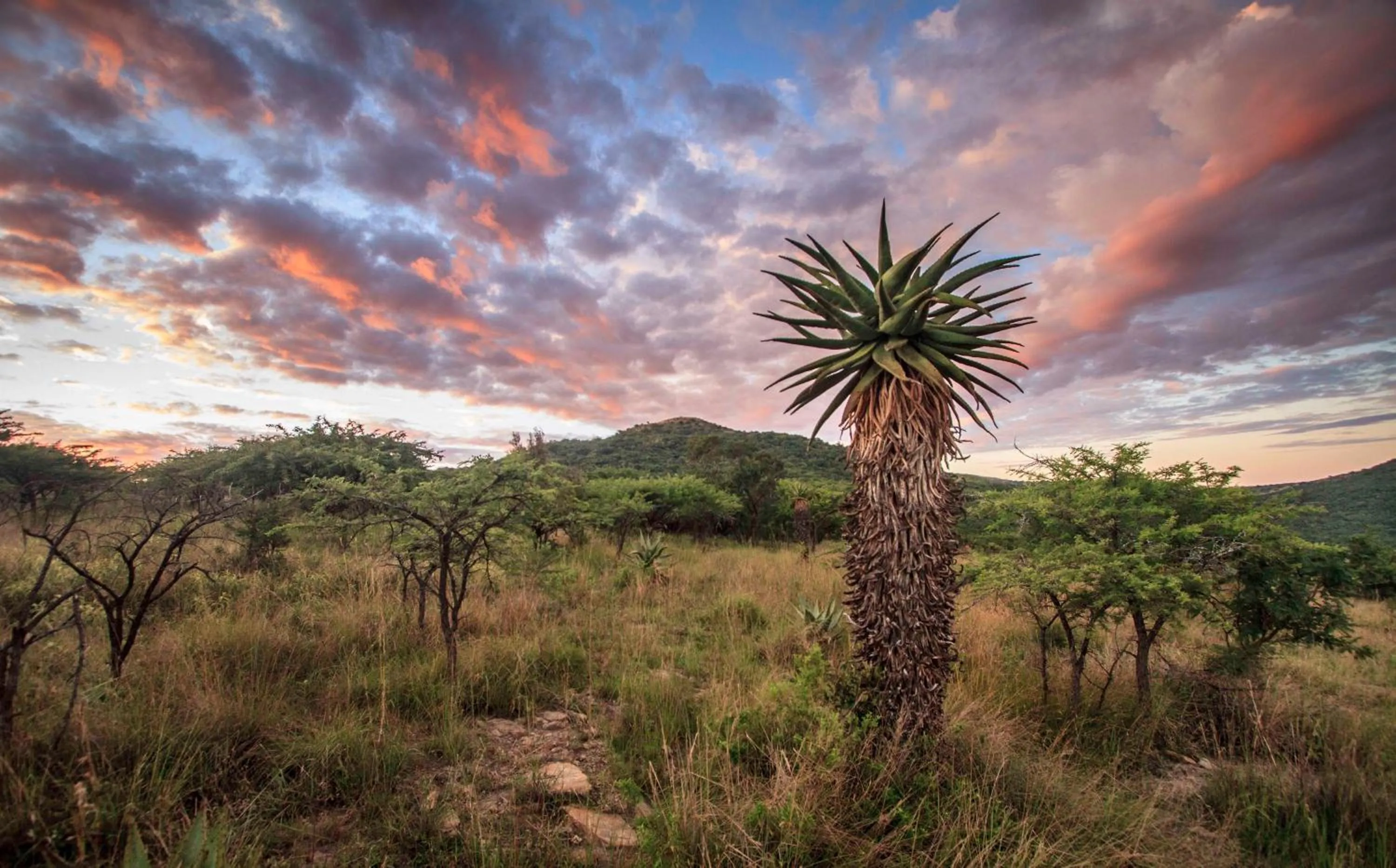 Natural landscape in Zulu Rock Lodge - Babanango Game Reserve