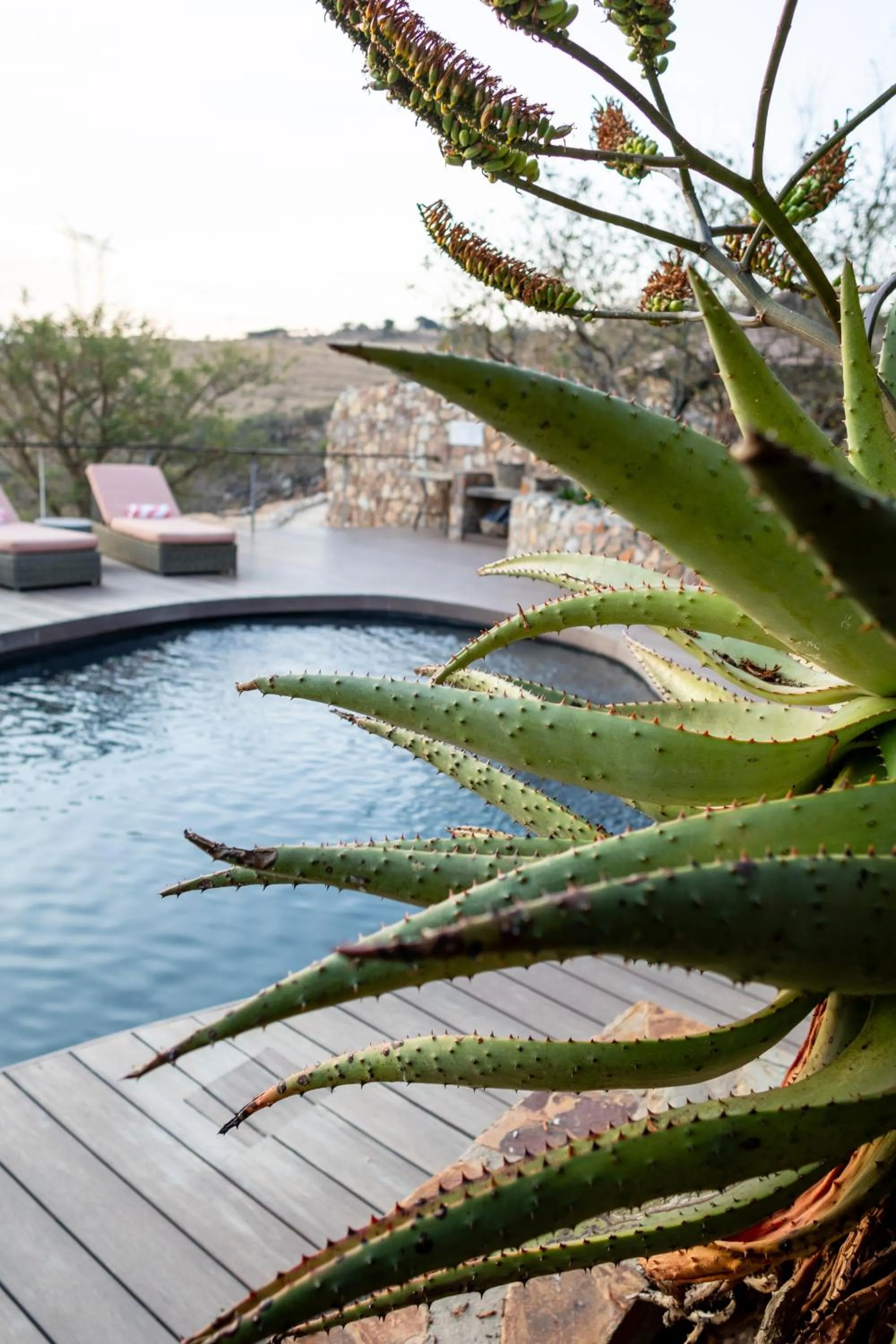 View (from property/room) in Zulu Rock Lodge - Babanango Game Reserve