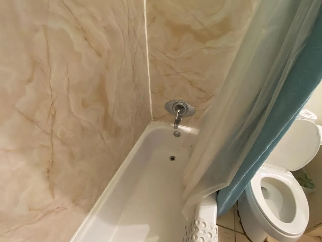 WHOLE Family - Rosemont