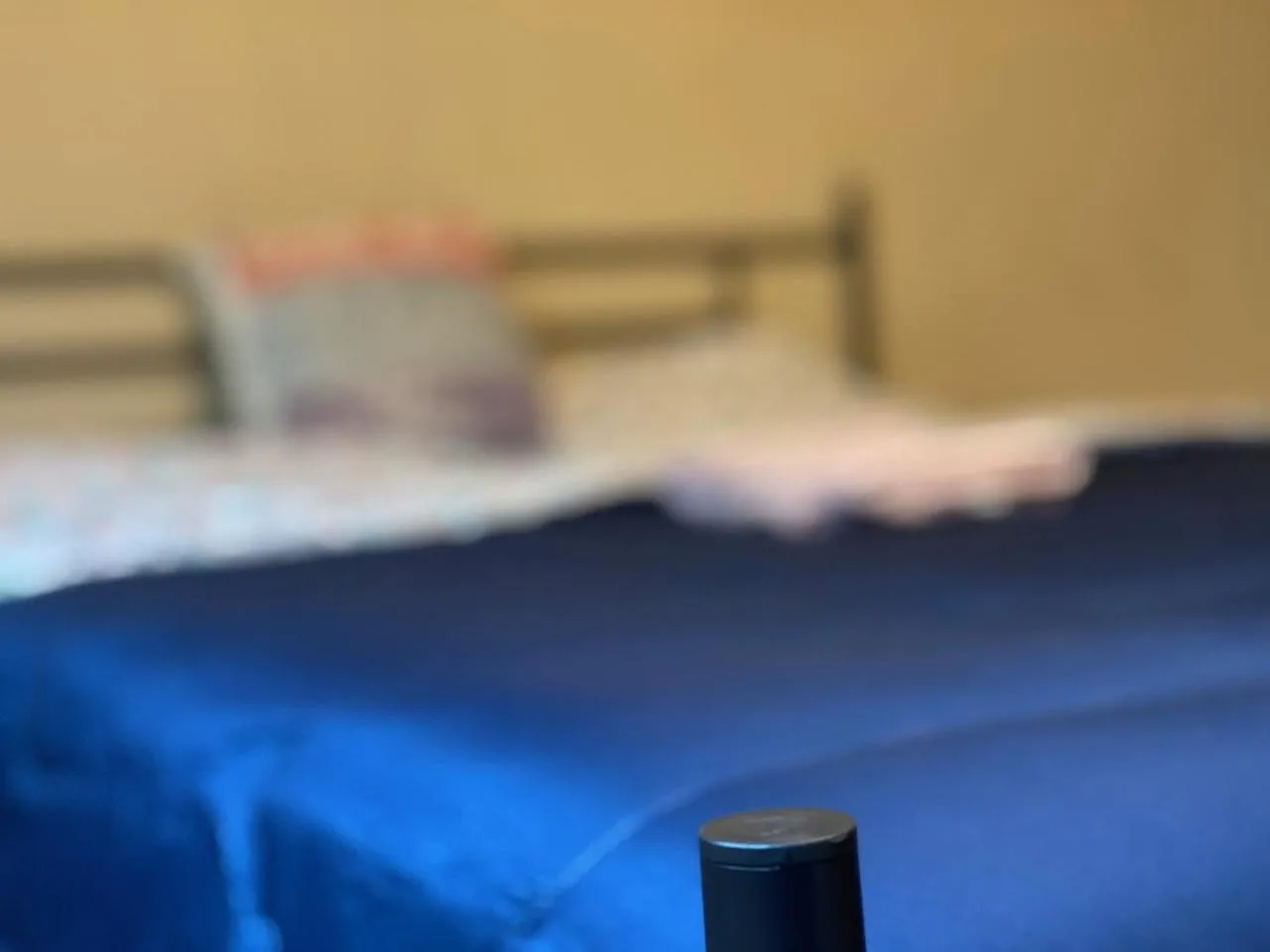 Bed in WHOLE Family - Rosemont