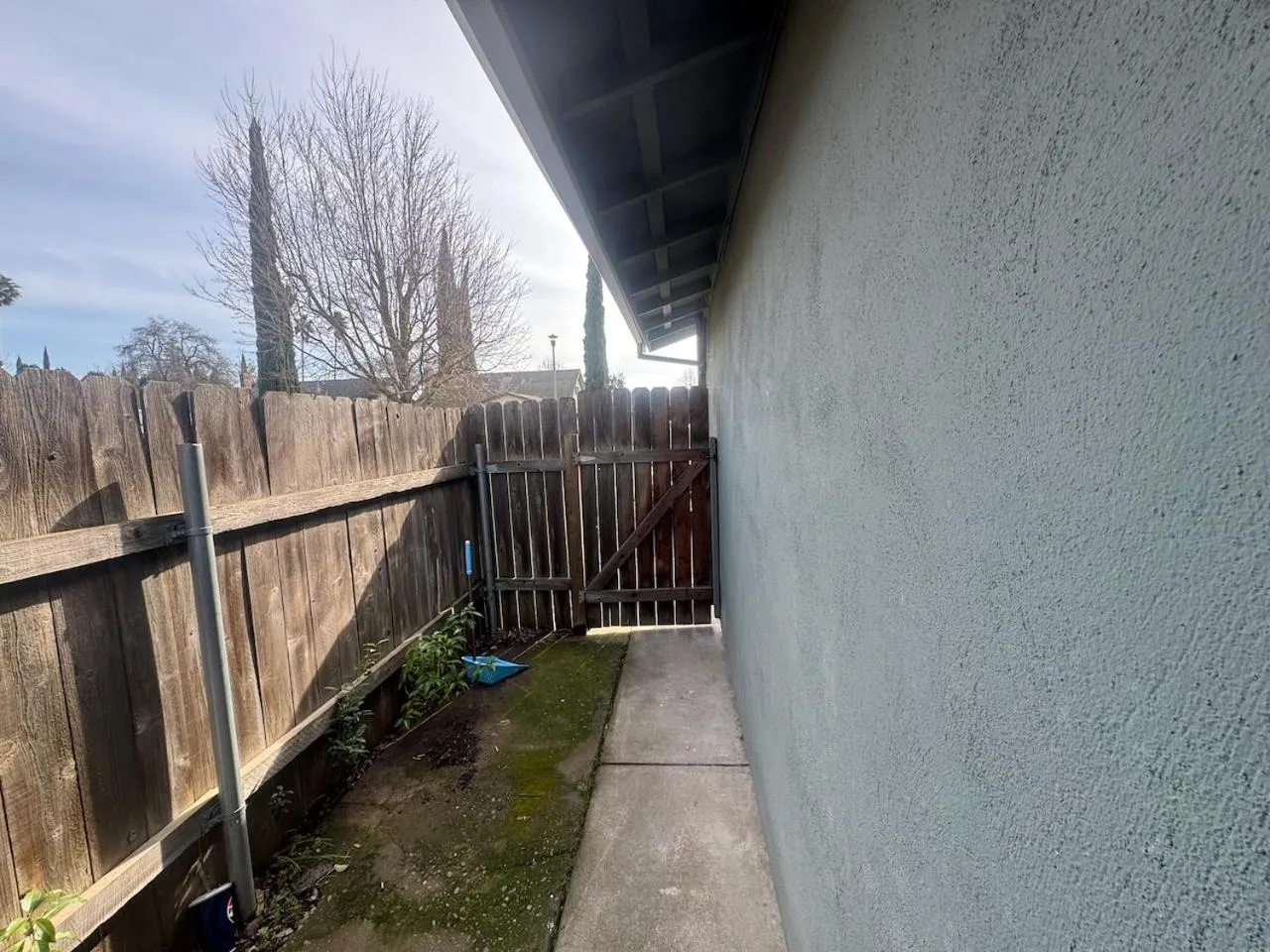 WHOLE Family - Rosemont