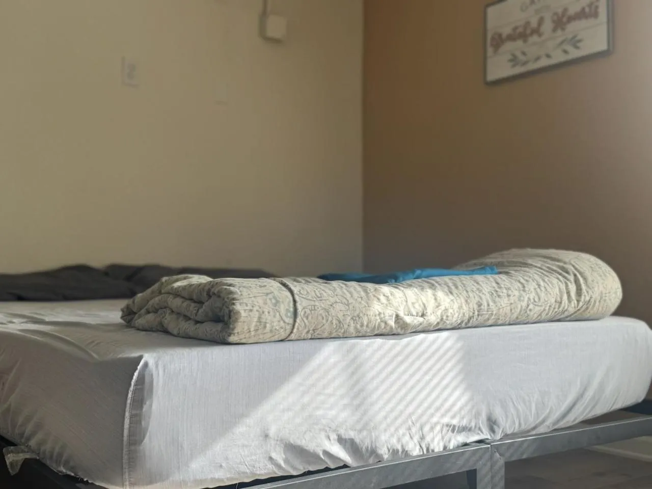 Bed in WHOLE Family - Rosemont