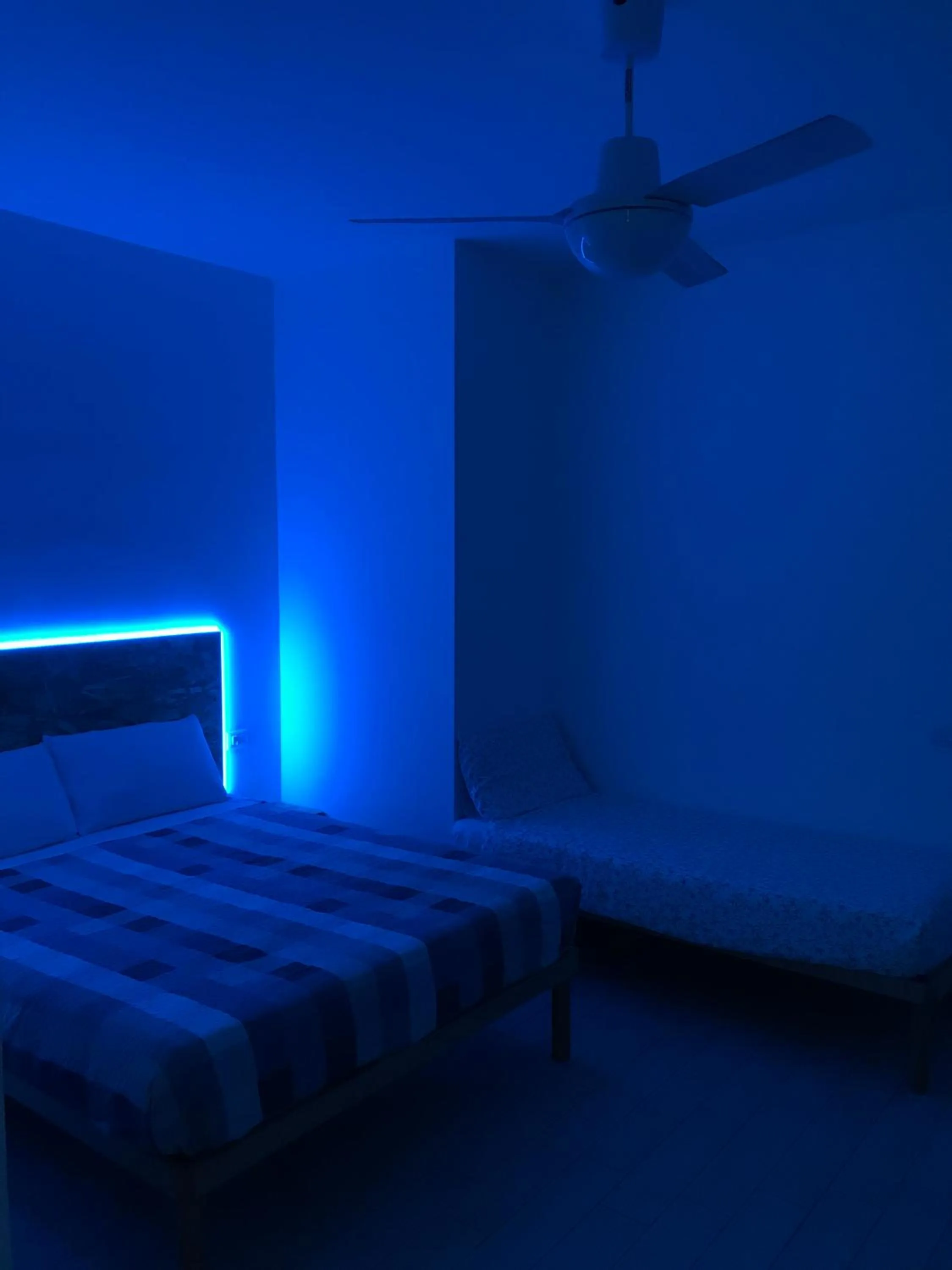 Bed in fronteMare Faleria