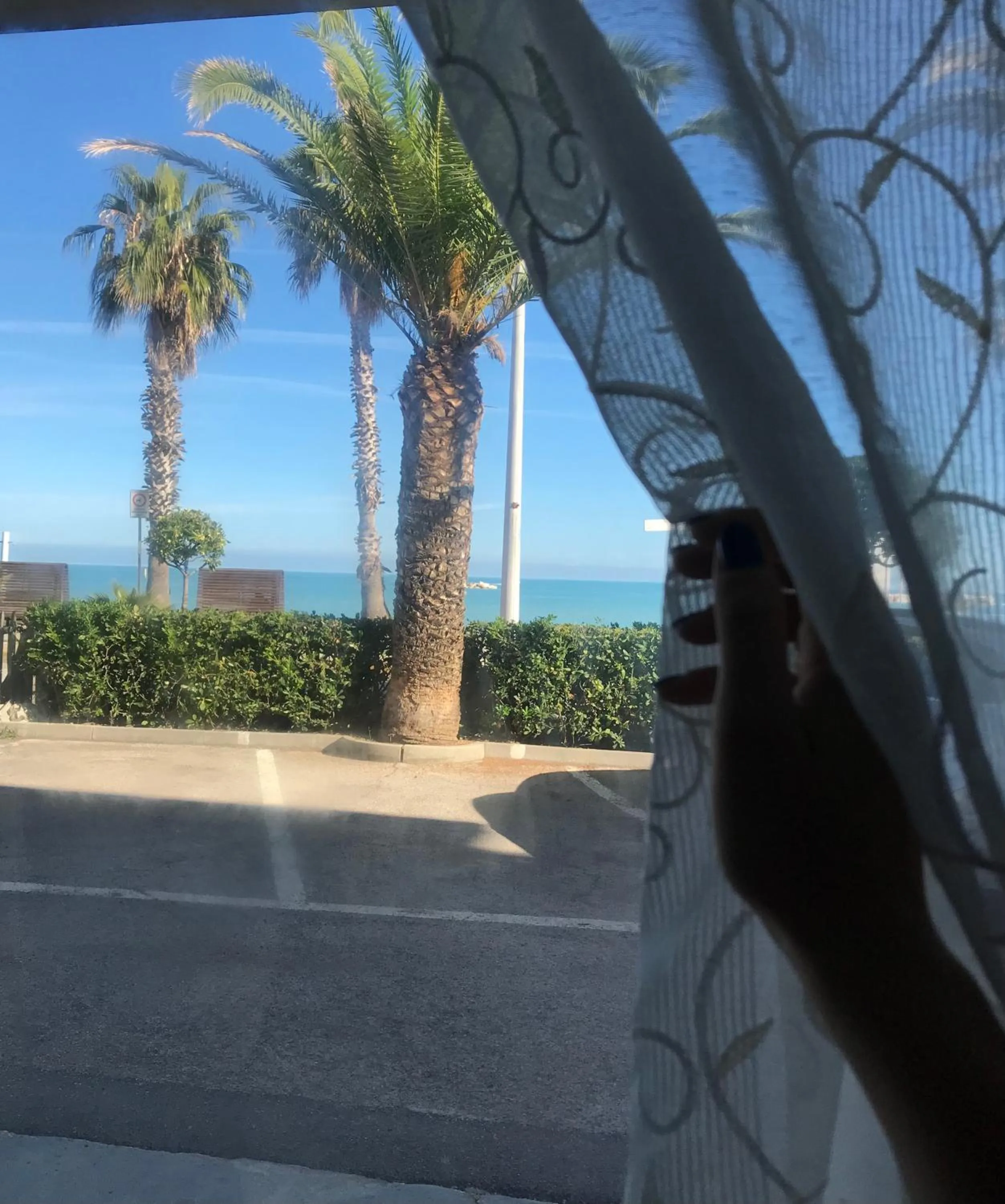 Day in fronteMare Faleria