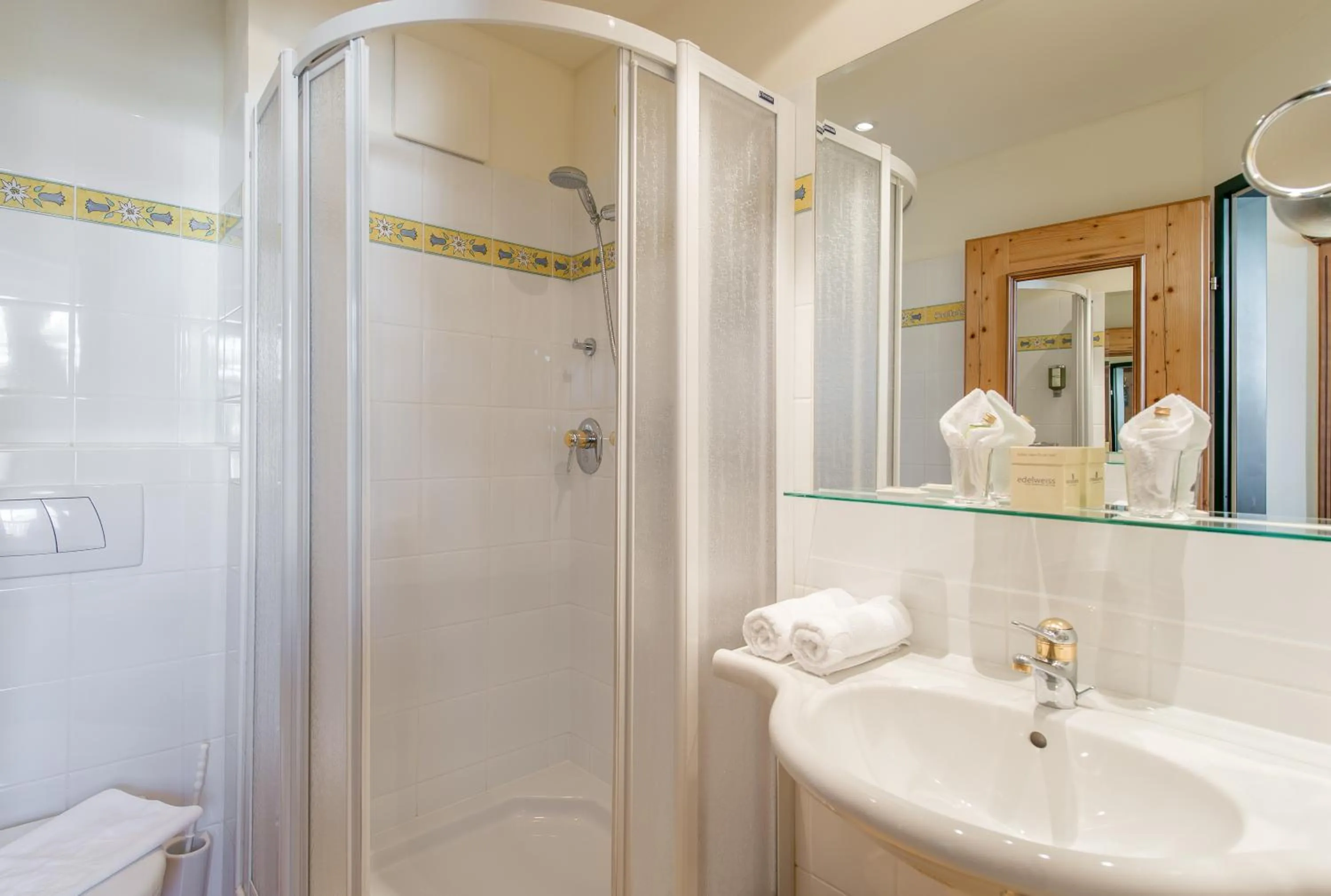 Bathroom in Superior Hotel Edelweiss