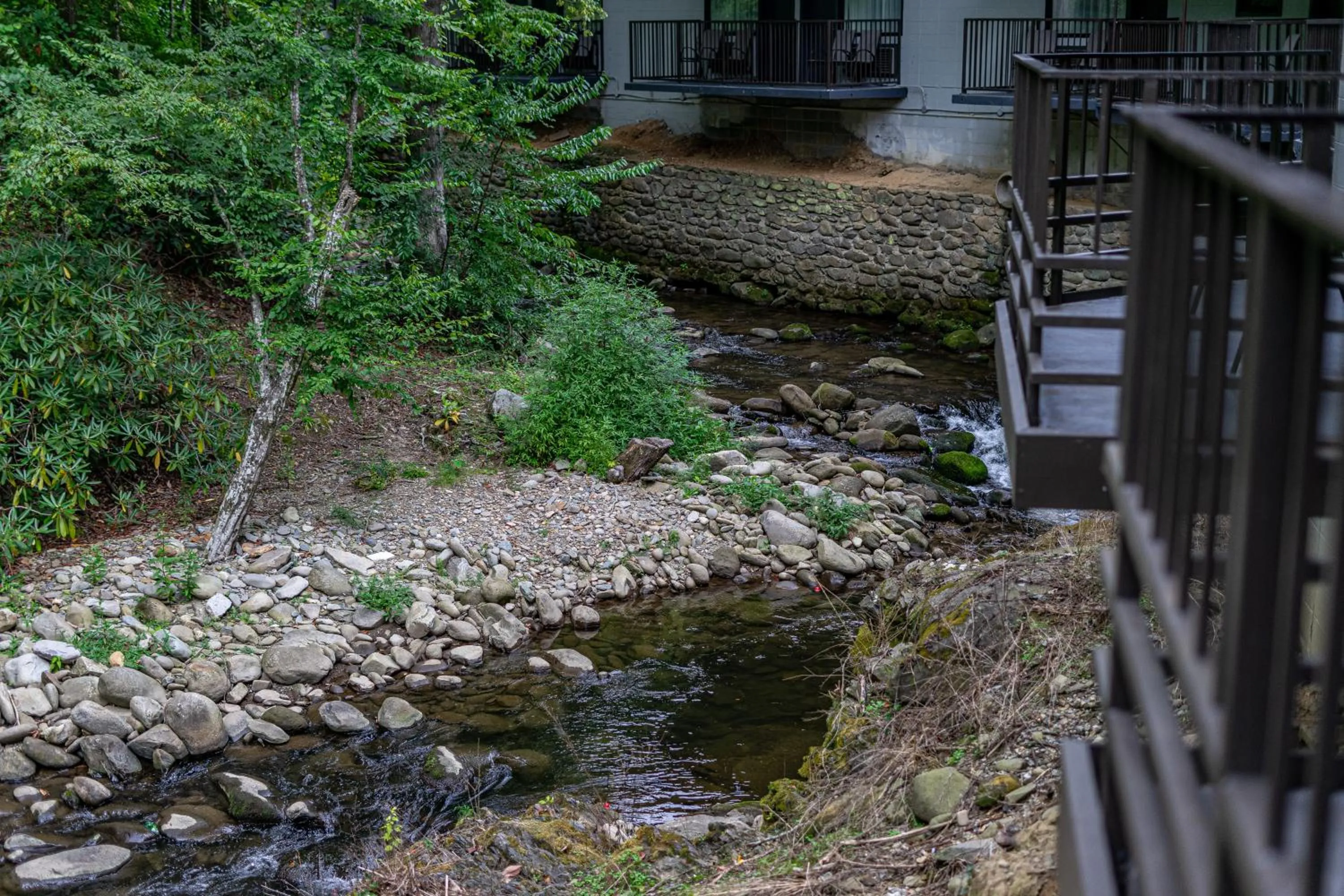 Natural landscape in Bear Creek Inn Gatlinburg, TN