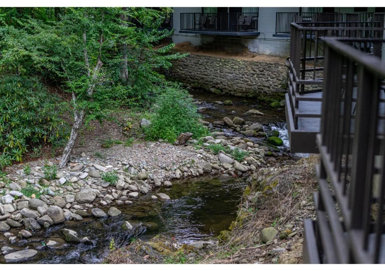 Natural landscape in Bear Creek Inn Gatlinburg, TN