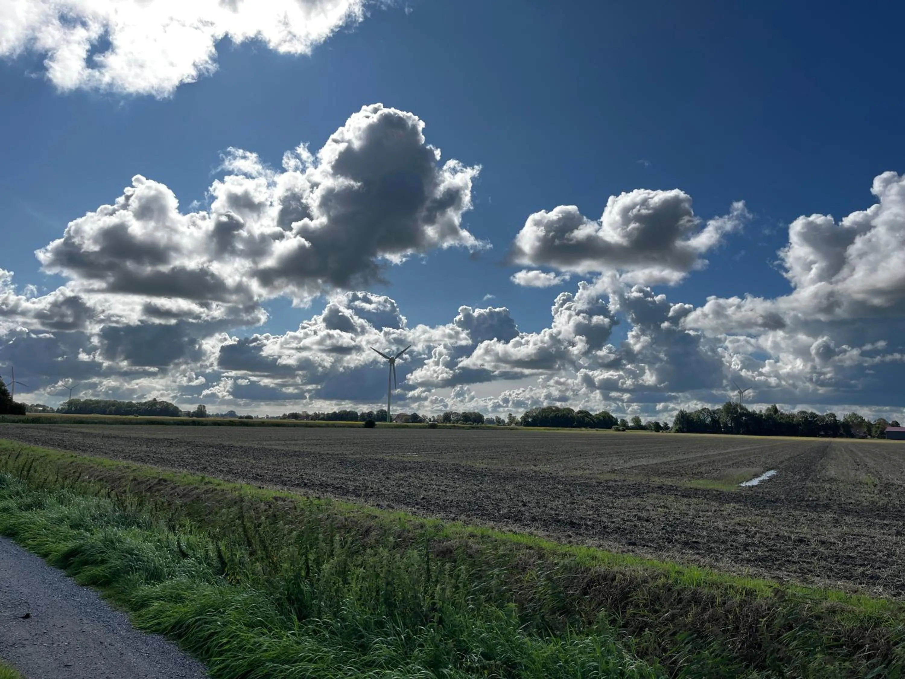 Natural landscape in Hotel Hinrichs