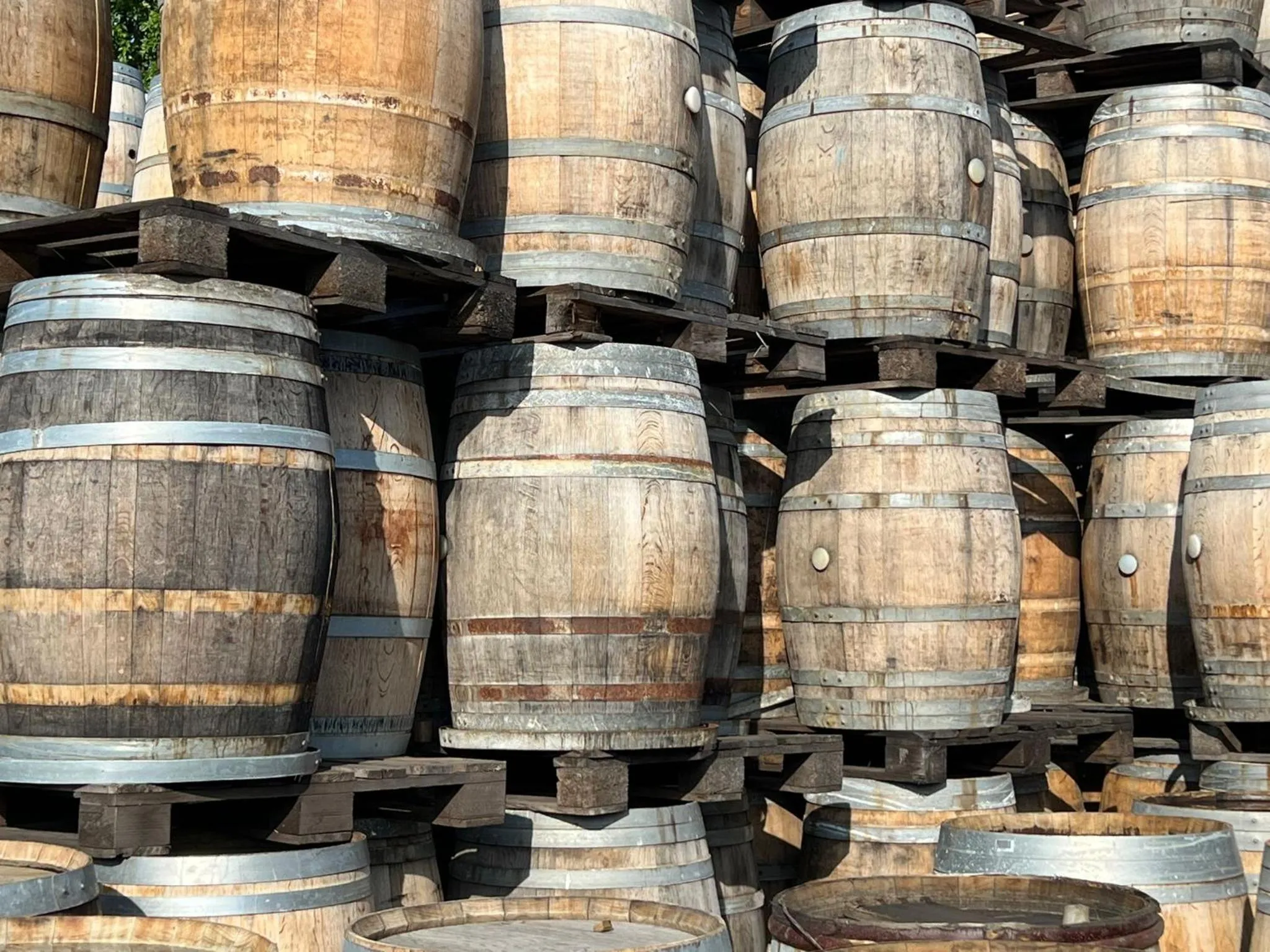 Alcoholic drinks in Hotel & Restaurant Zum Ochsen -Ox Distillery