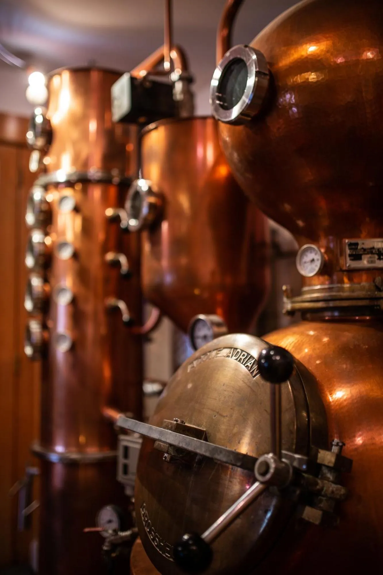 Alcoholic drinks in Hotel & Restaurant Zum Ochsen -Ox Distillery