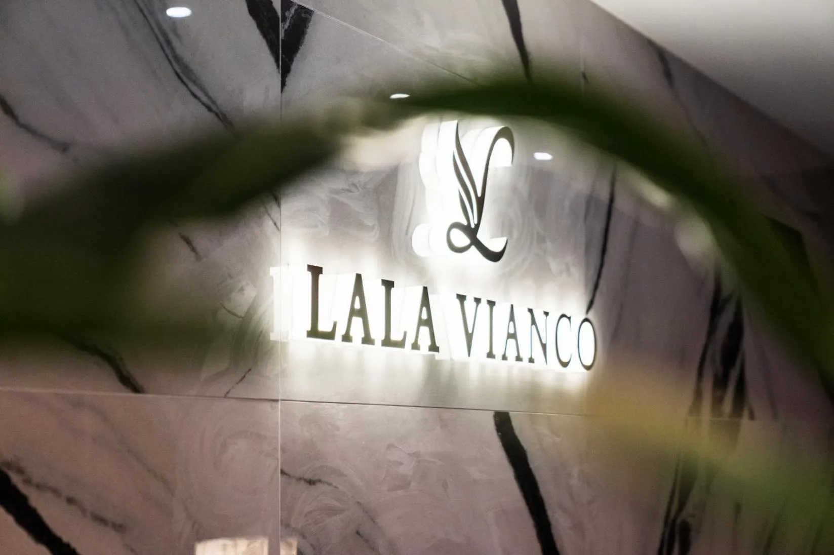 LALA VIANCO BUSINESS Hotel