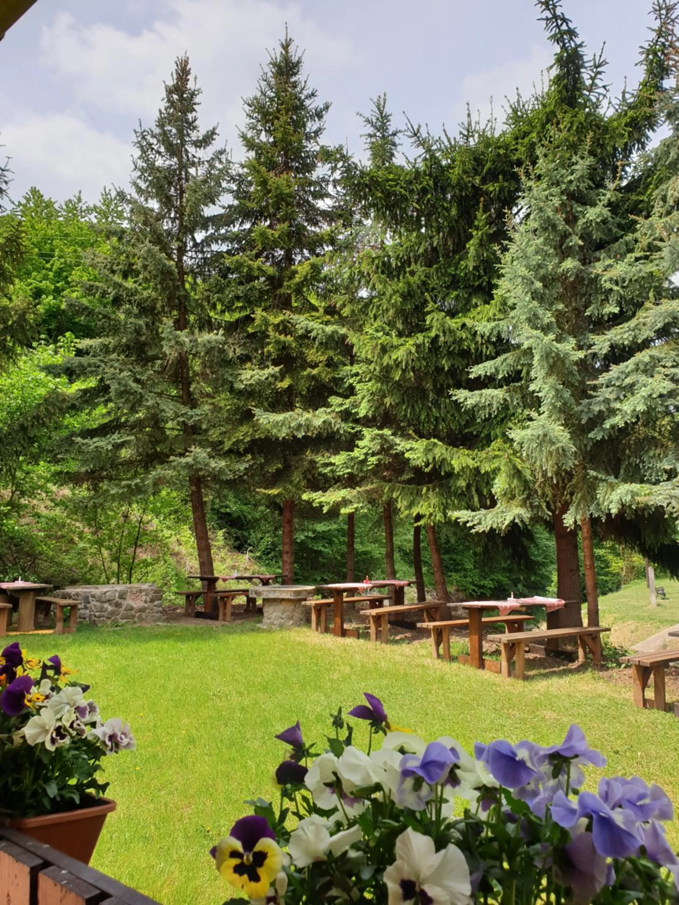 Garden view in Fakanalas Fogadó