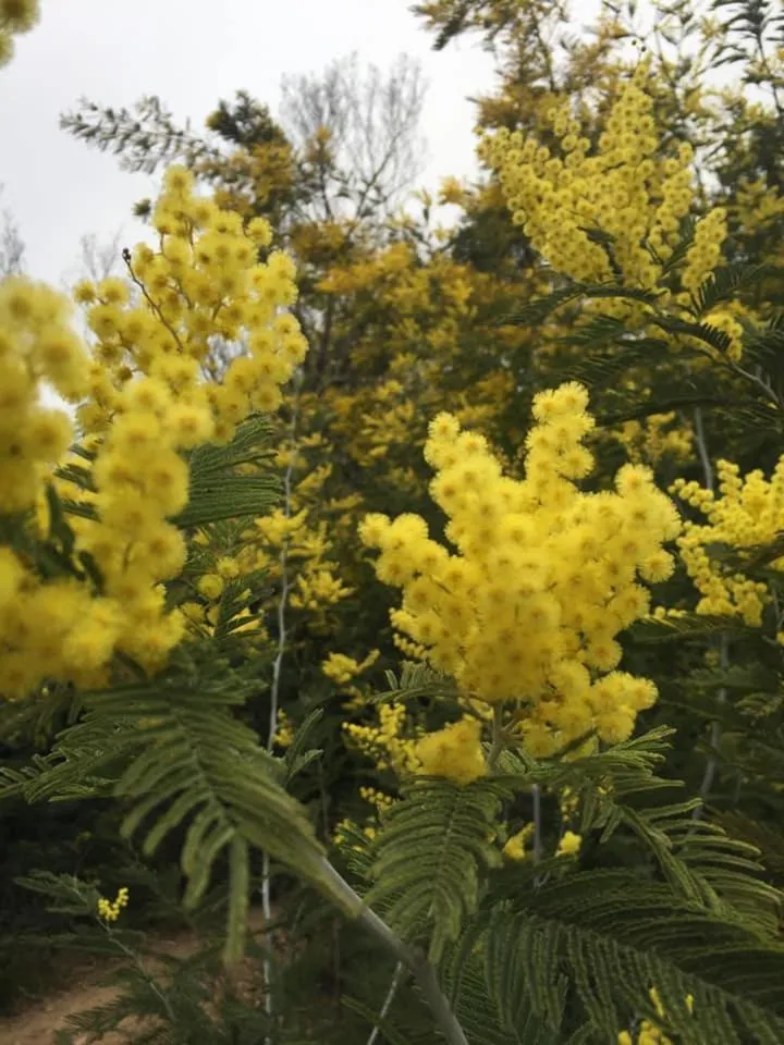 Chambre d’hôtes vaucluse