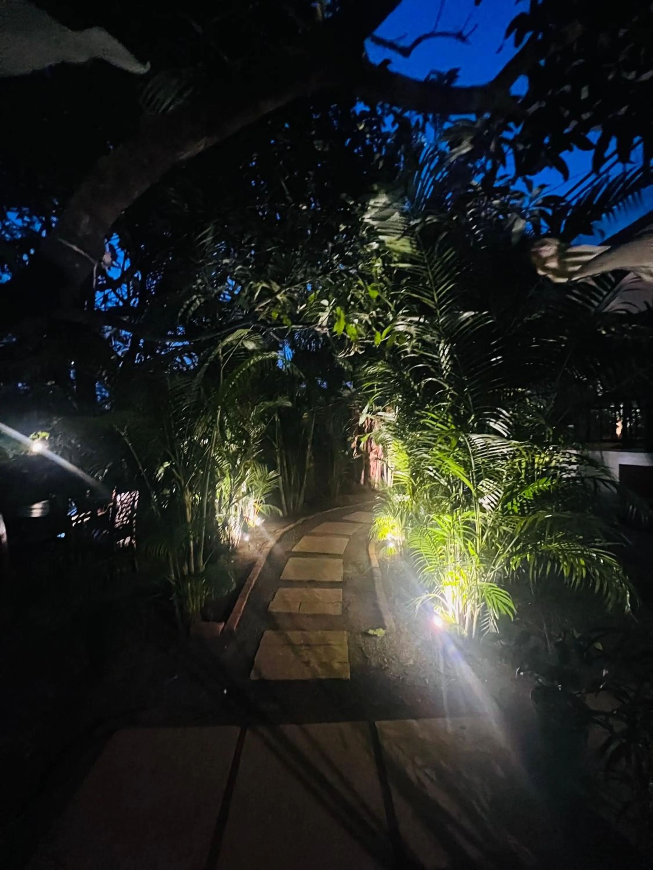 Natural landscape in Aaria Hills