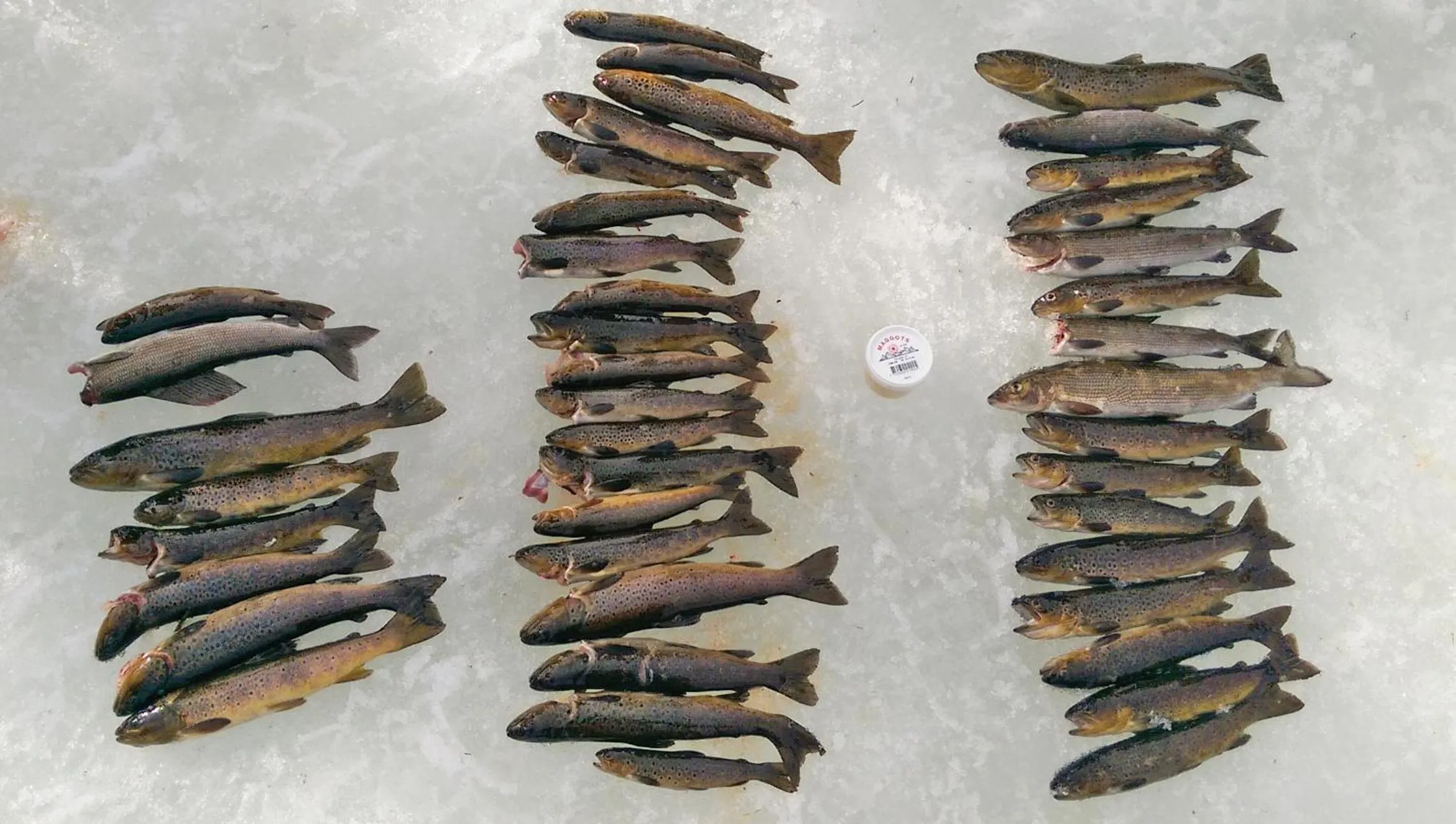 Fishing in Big River Camp Hotel & Spa