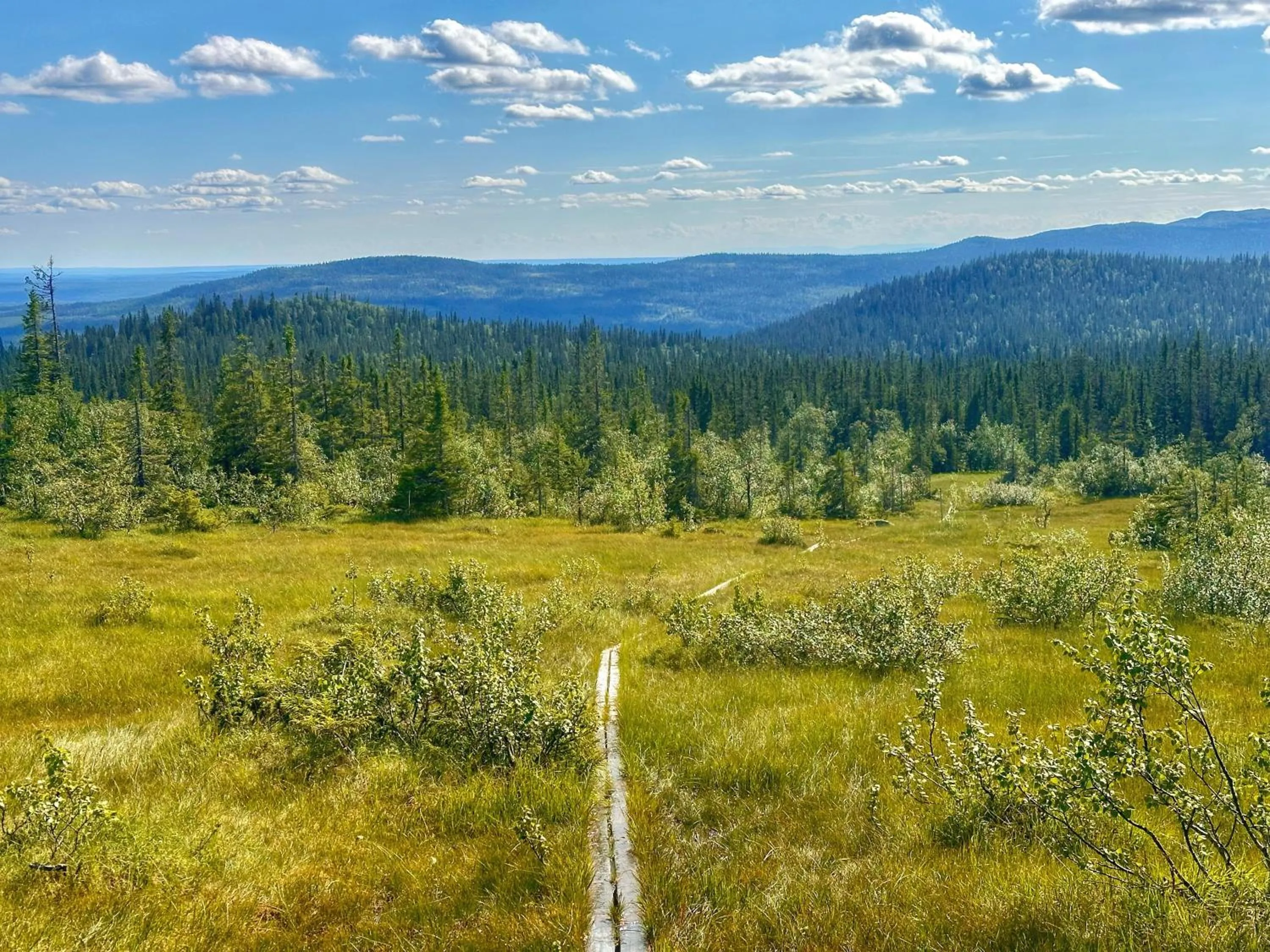 Hiking in Big River Camp Hotel & Spa