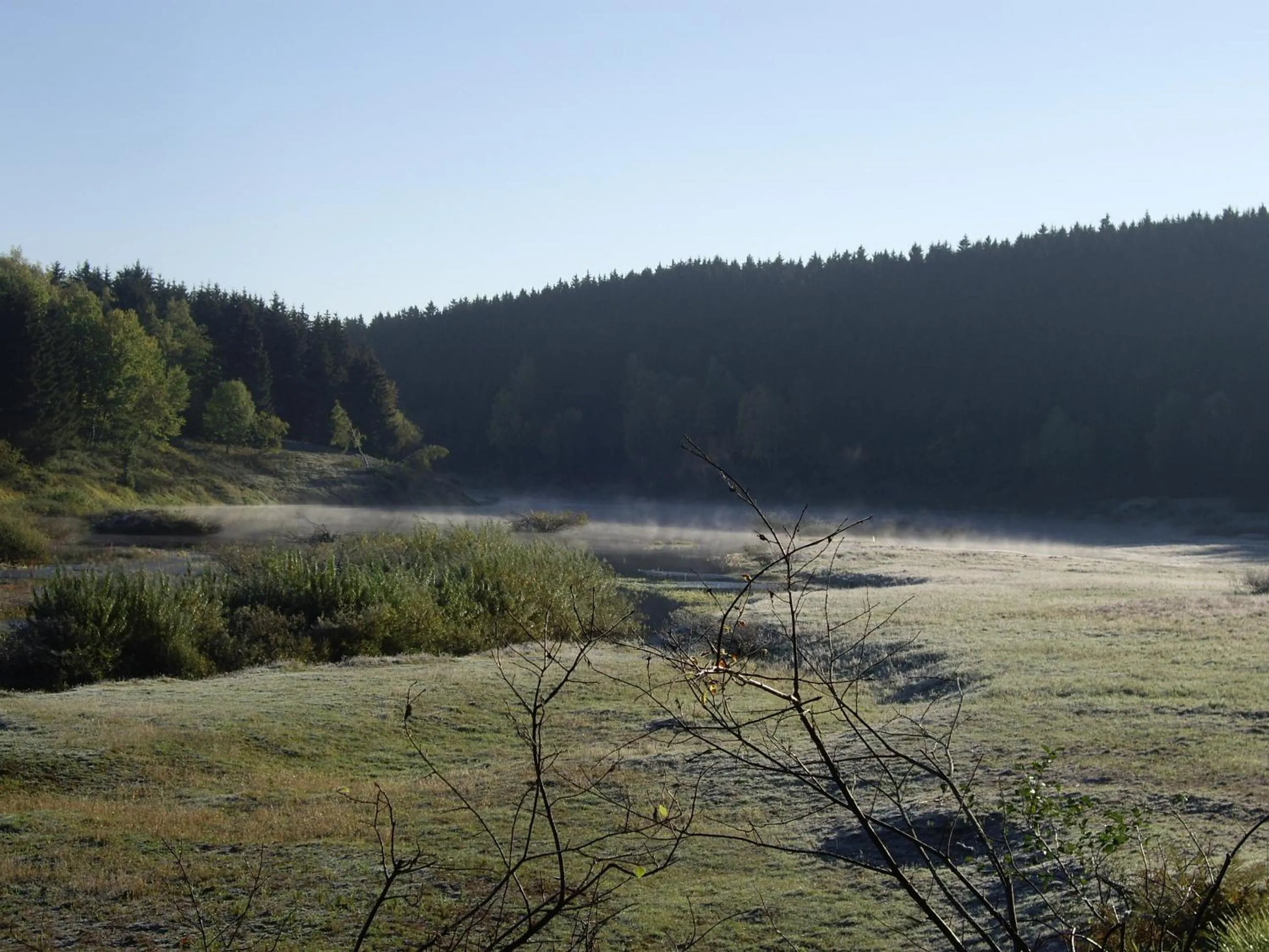 Day in Hotel Grüne Tanne Mandelholz