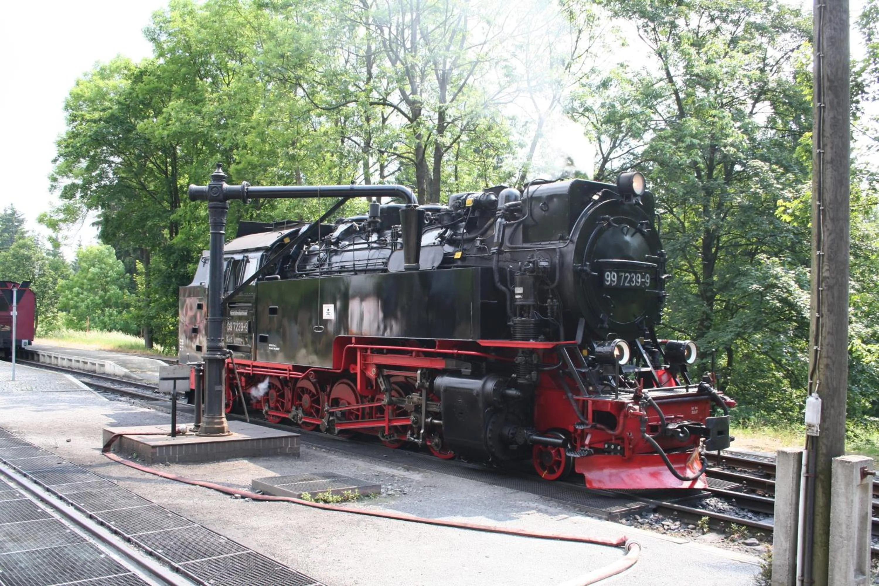 Day in Hotel Grüne Tanne Mandelholz