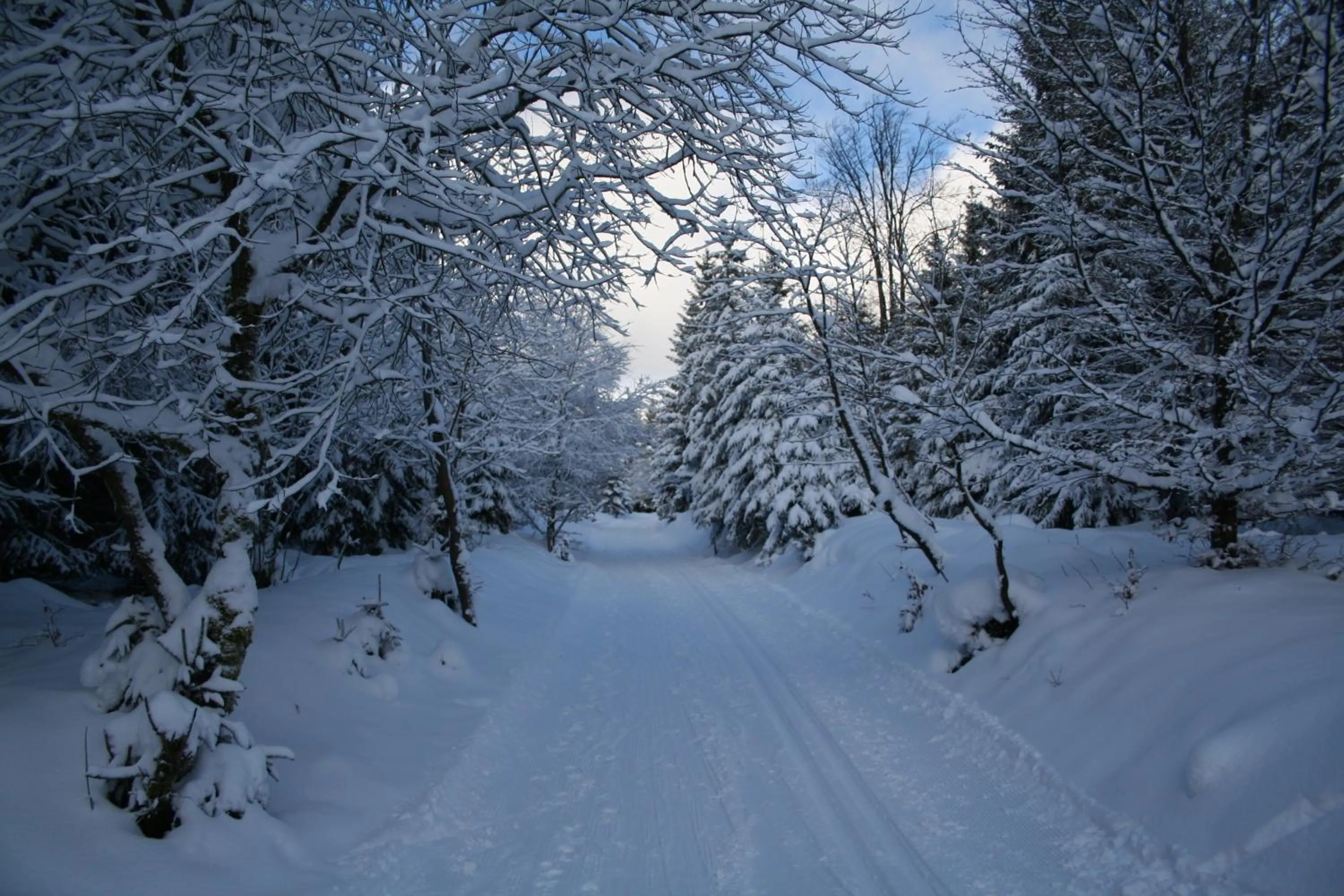 Day in Hotel Grüne Tanne Mandelholz