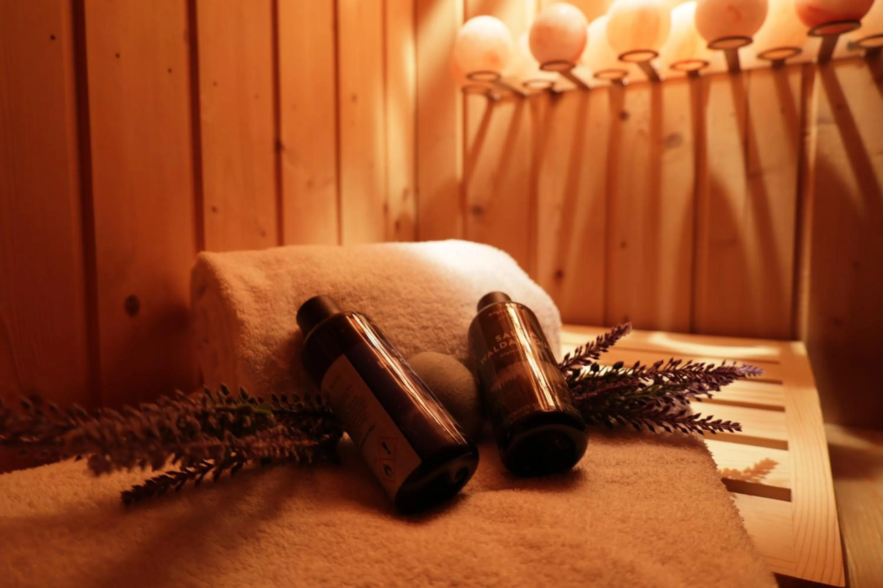 Sauna, Bed in CAREA Residenz Hotel Harzhöhe