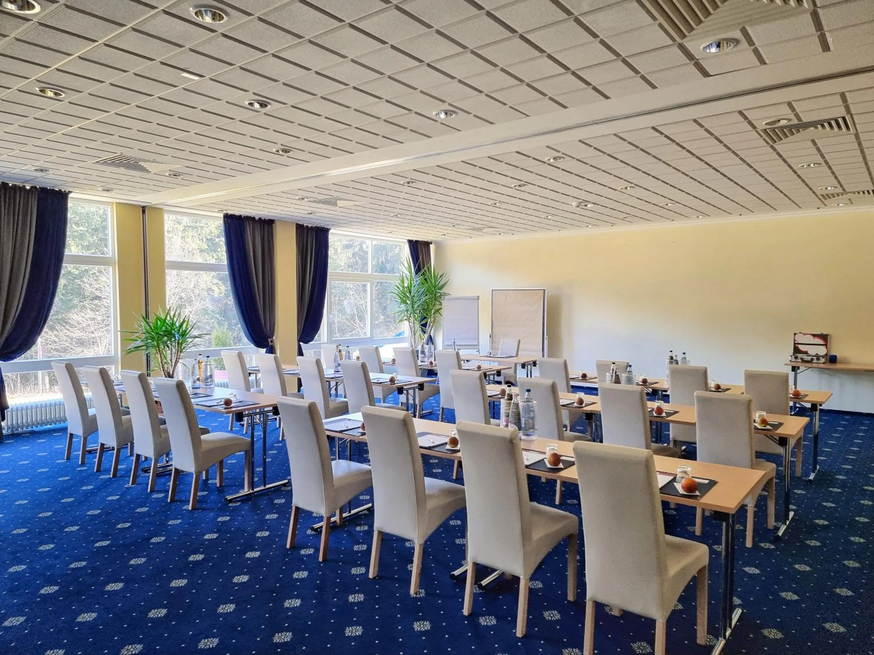 Meeting/conference room in CAREA Residenz Hotel Harzhöhe