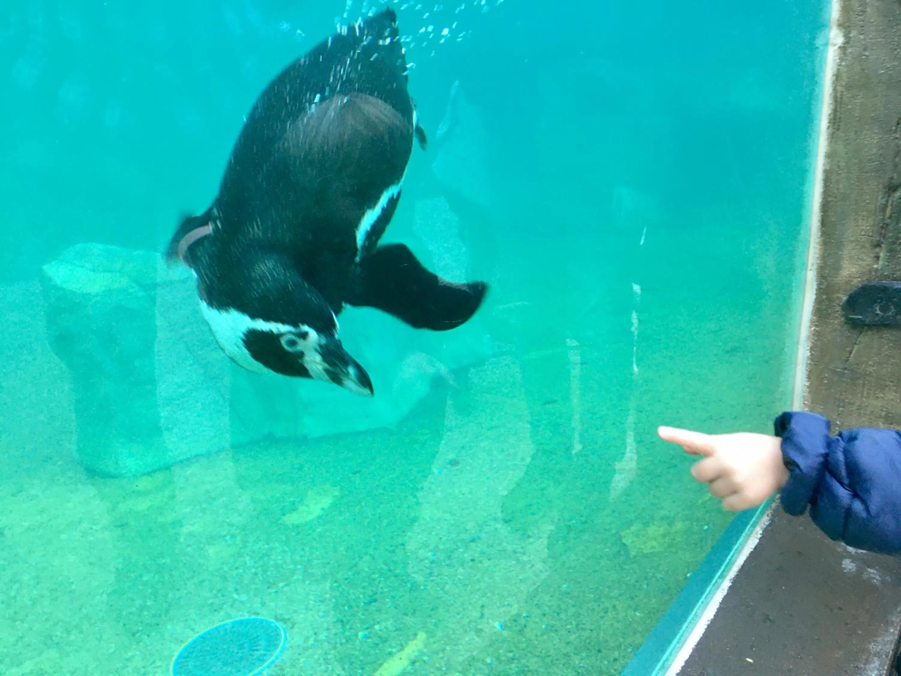 Off site in Domaine des Bois Argentés